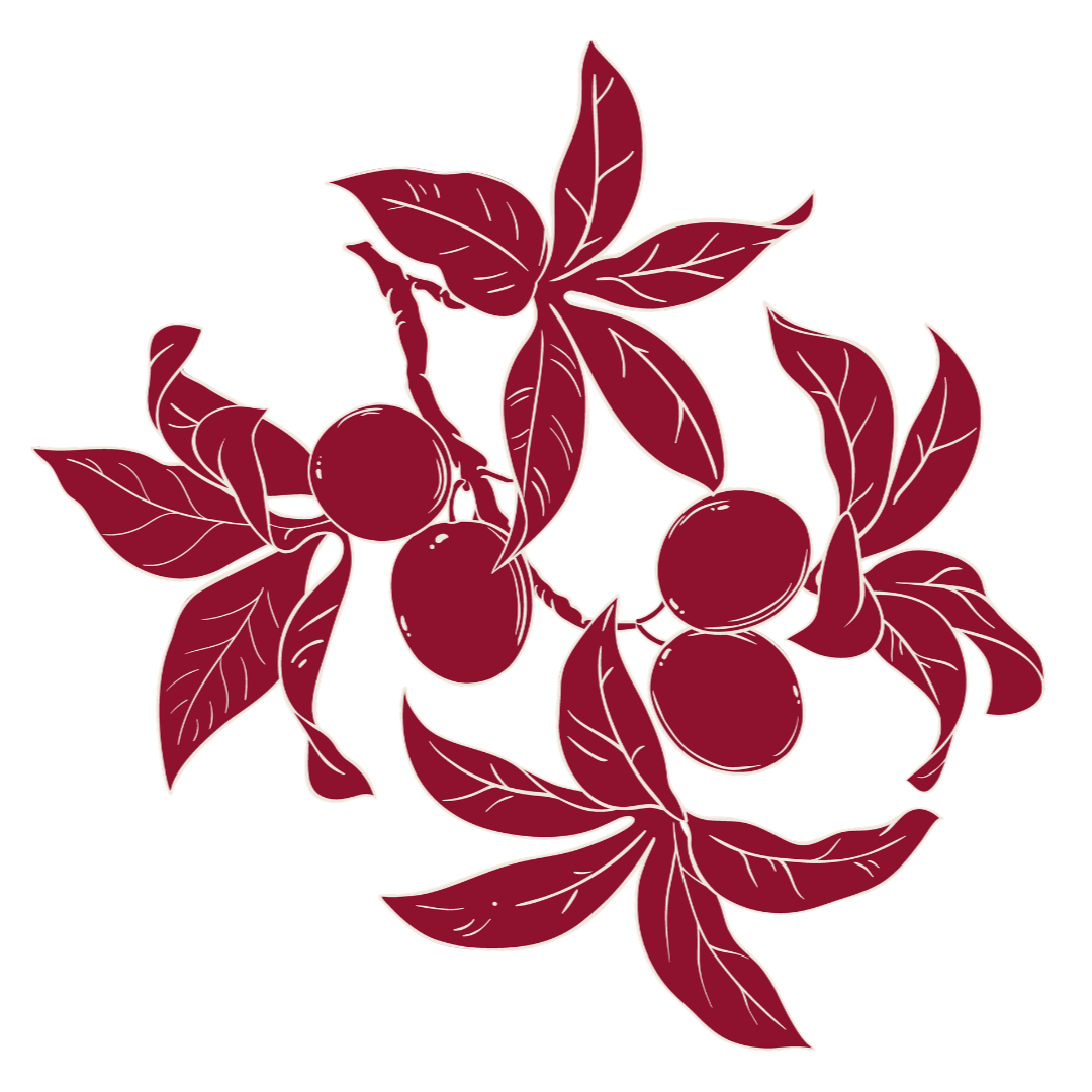 Red illustration of berries growing on a branch surrounded by leaves