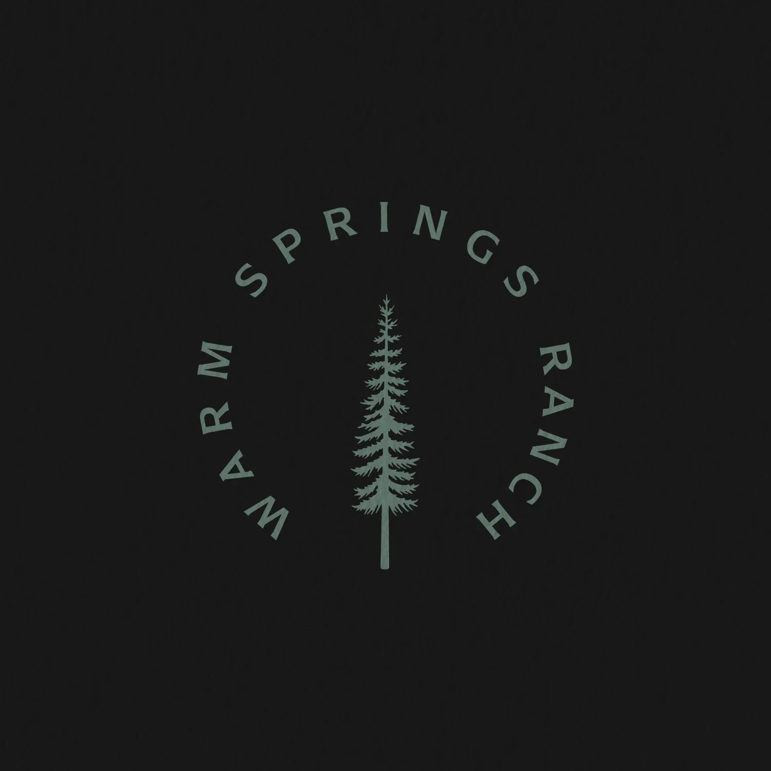 Warm Springs Ranch Homes