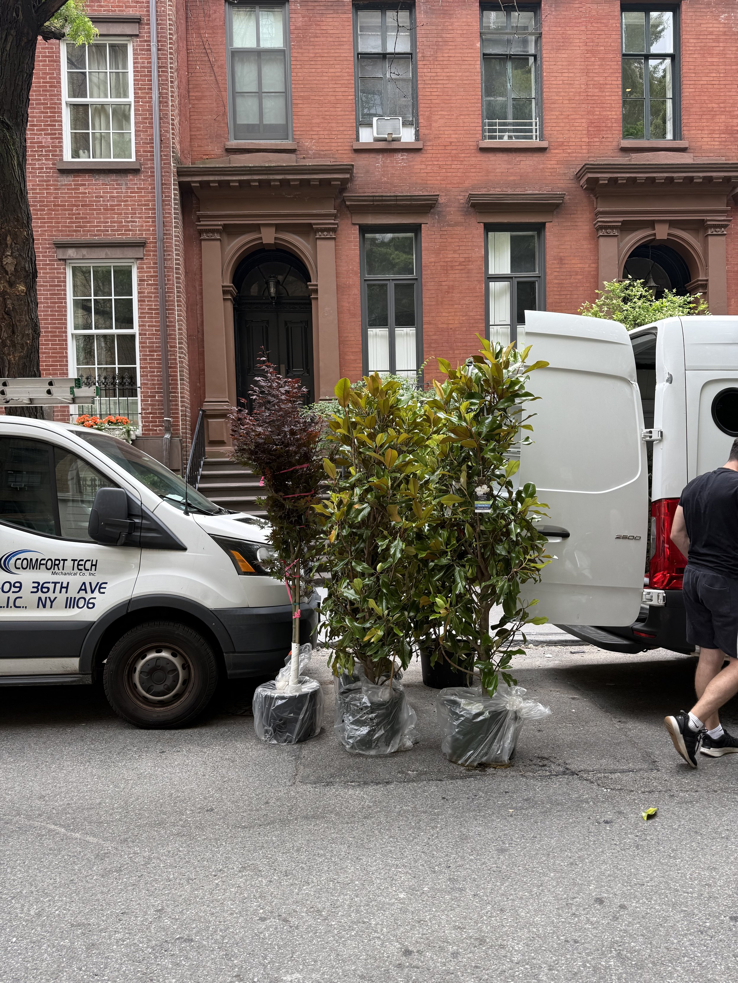 Rooftop Designer – Project MAY NYC Lauren Talio.jpg