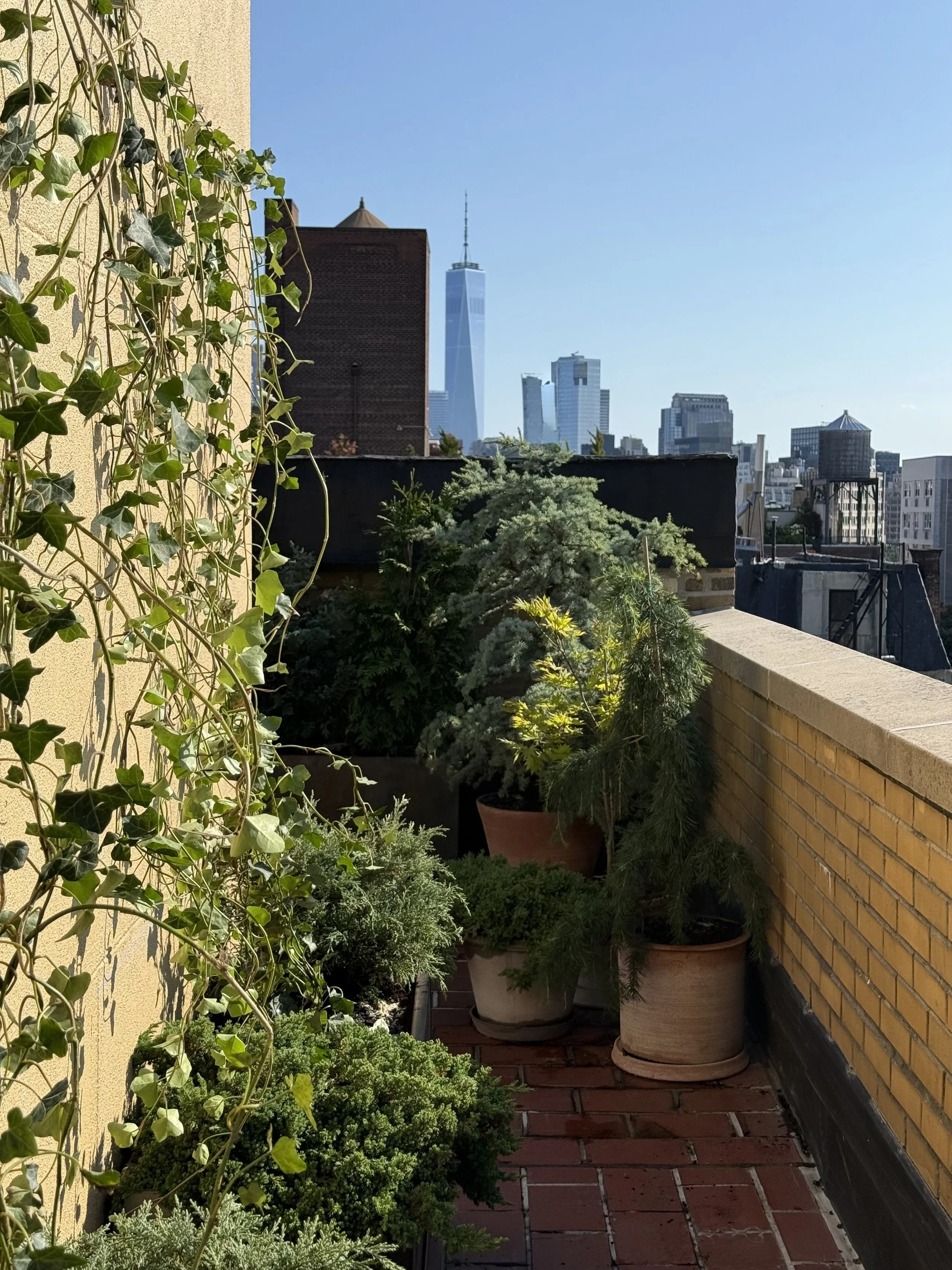 Landscape Designer – Project MAY NYC Lauren Talio.jpg