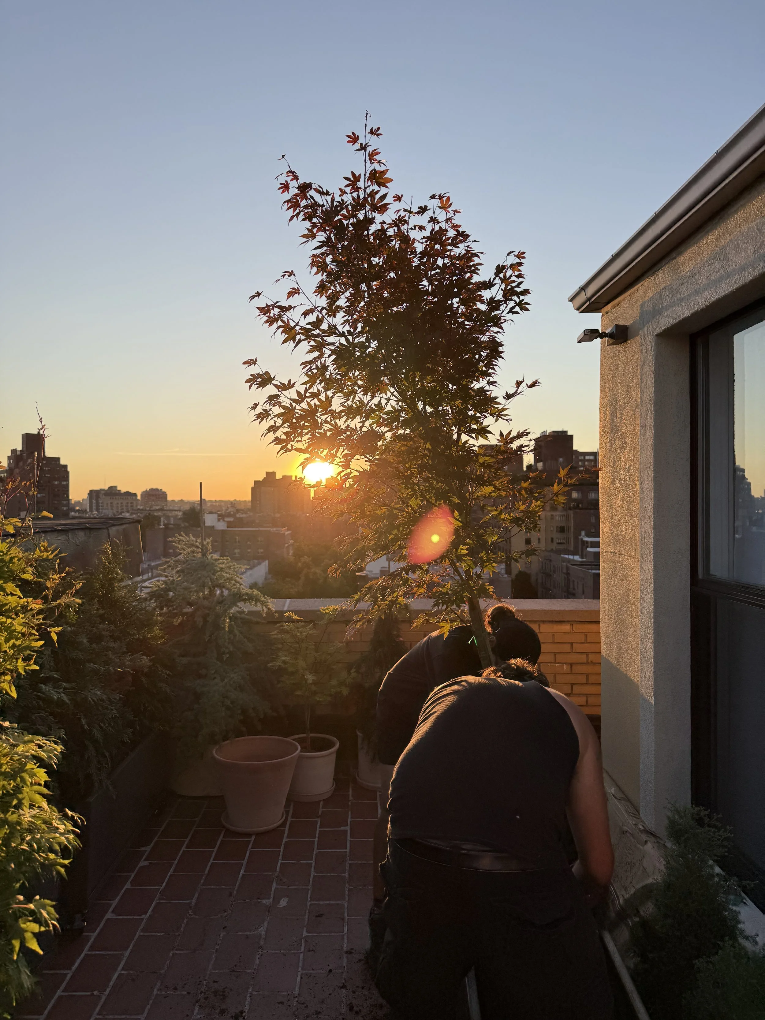 Rooftop Designer – Project MAY NYC.jpg