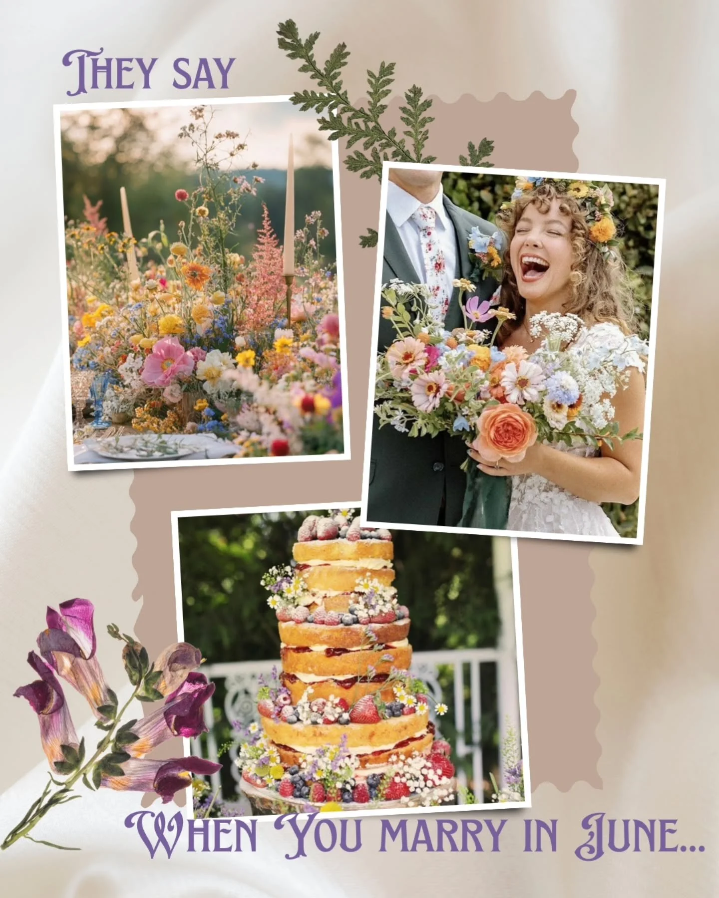 Happy June! To all our past and present June brides- Enjoy that eternal bridal glow, the wildflowers, and all the summer fruits. 

June Weddings in Washington are the perfect chance for breezy pictures, golden hours, and wildflower decor galore for y