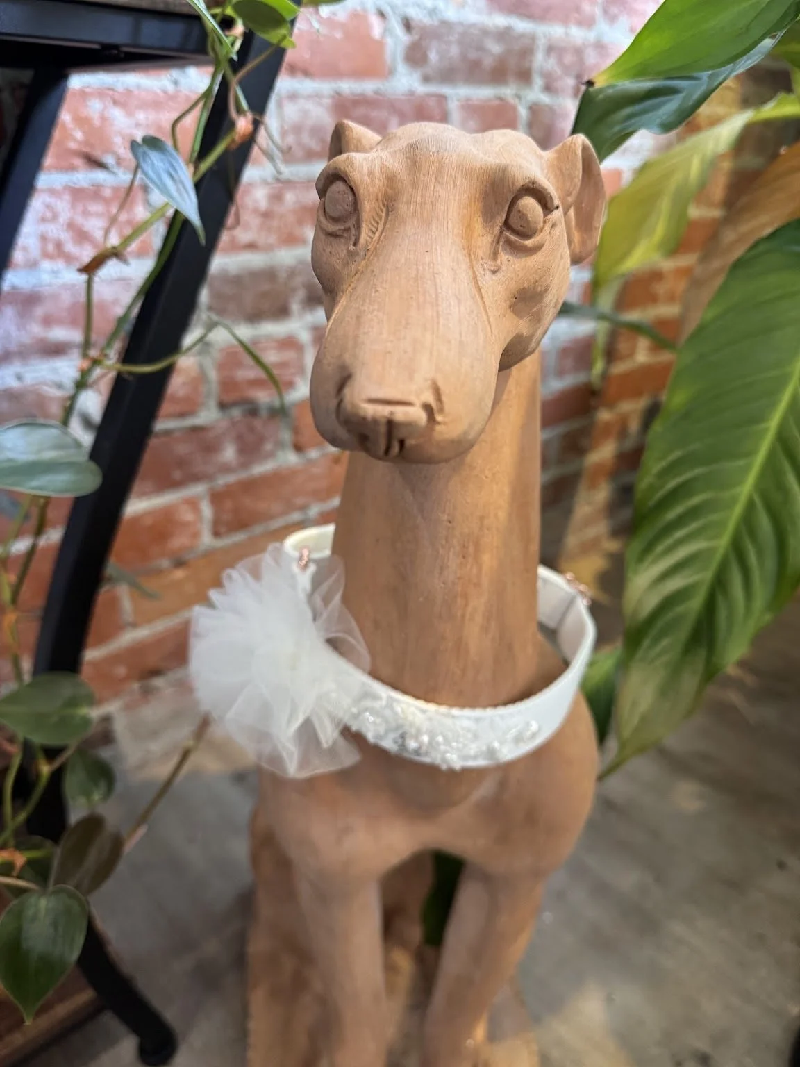 One of our Favorite Custom Dog Collars 