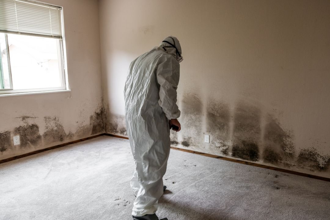 Contractor Orange County: House Damage Restoration Experts 2 Professional in protective gear inspecting mold infestation on walls in a residential property during restoration process in Orange County.