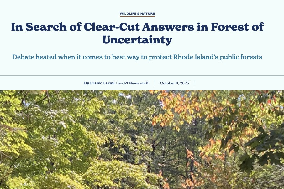 https://ecori.org/in-search-of-clear-cut-answers-in-forest-of-uncertainty/
