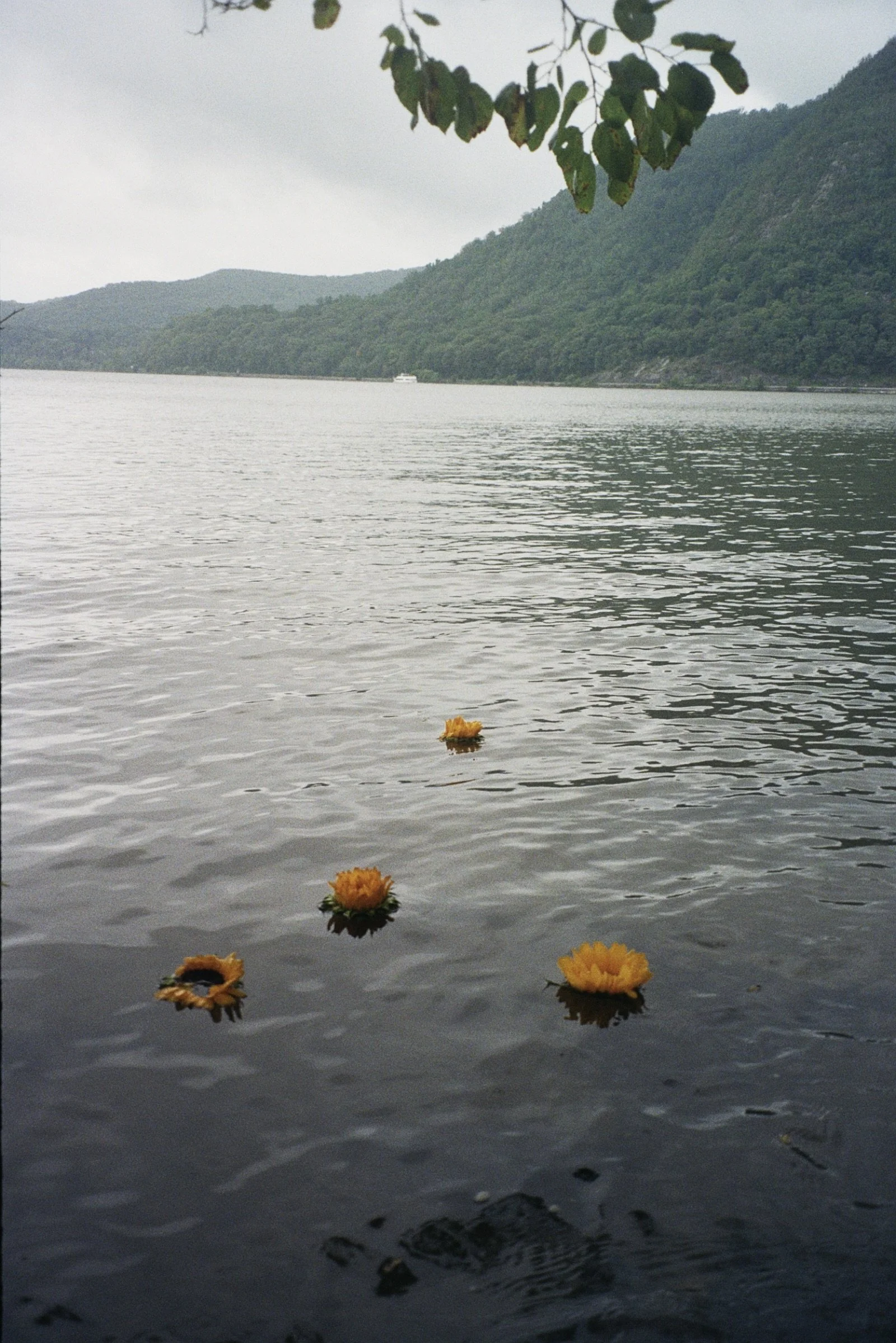 00372_9.jpg