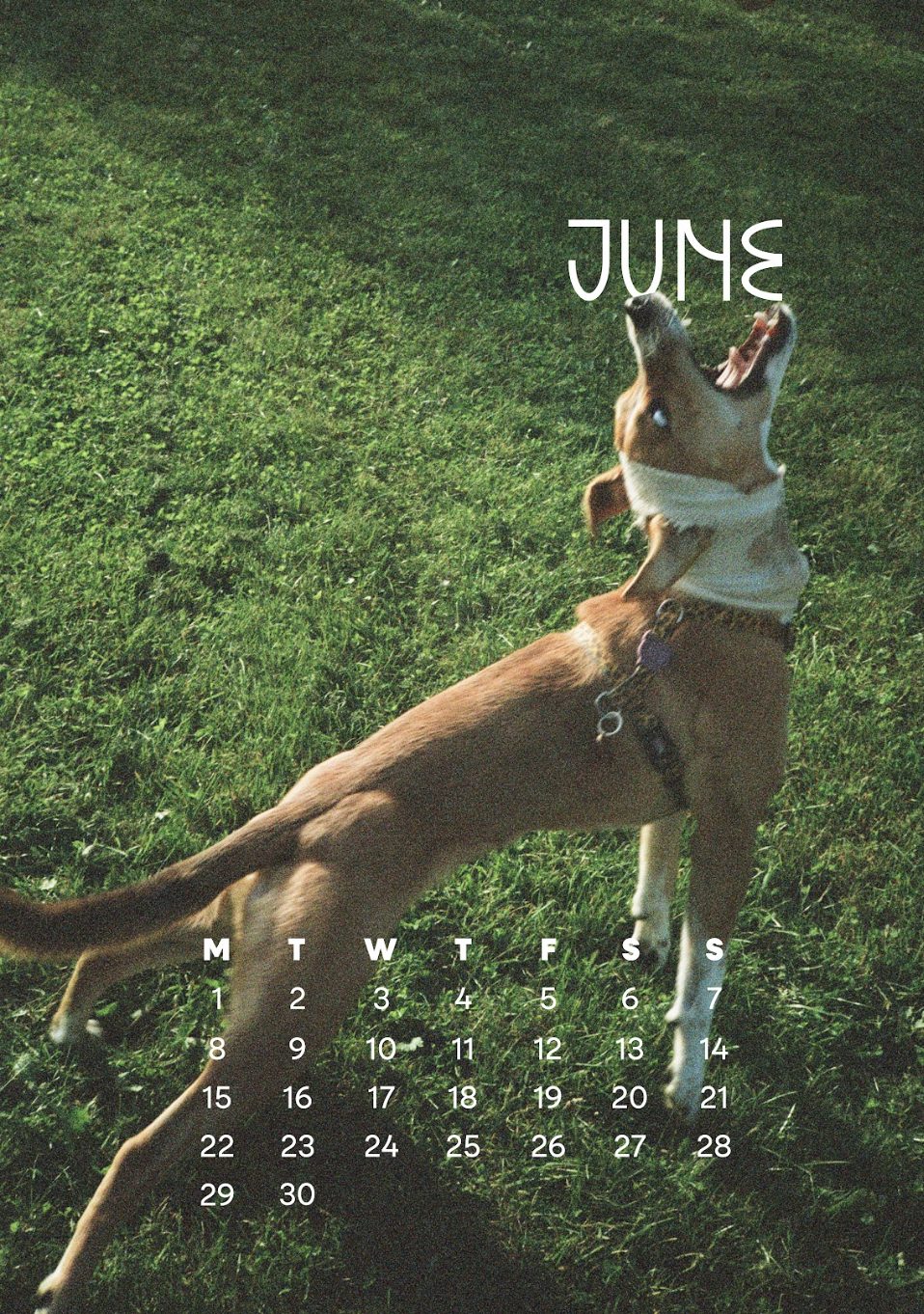 Skjermbilde 2025-12-27 kl. 21.16.28.png