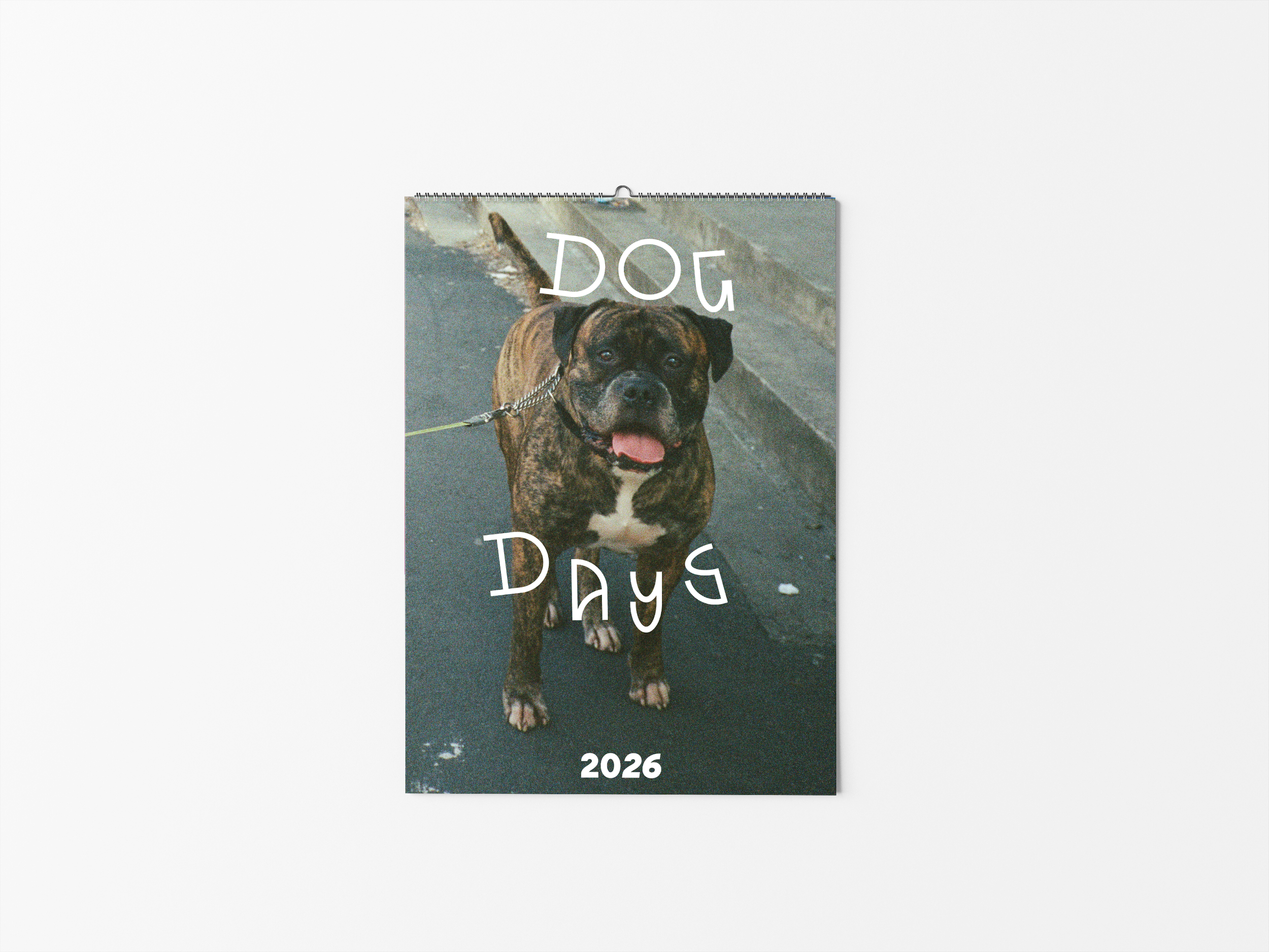 Dog Days 2026