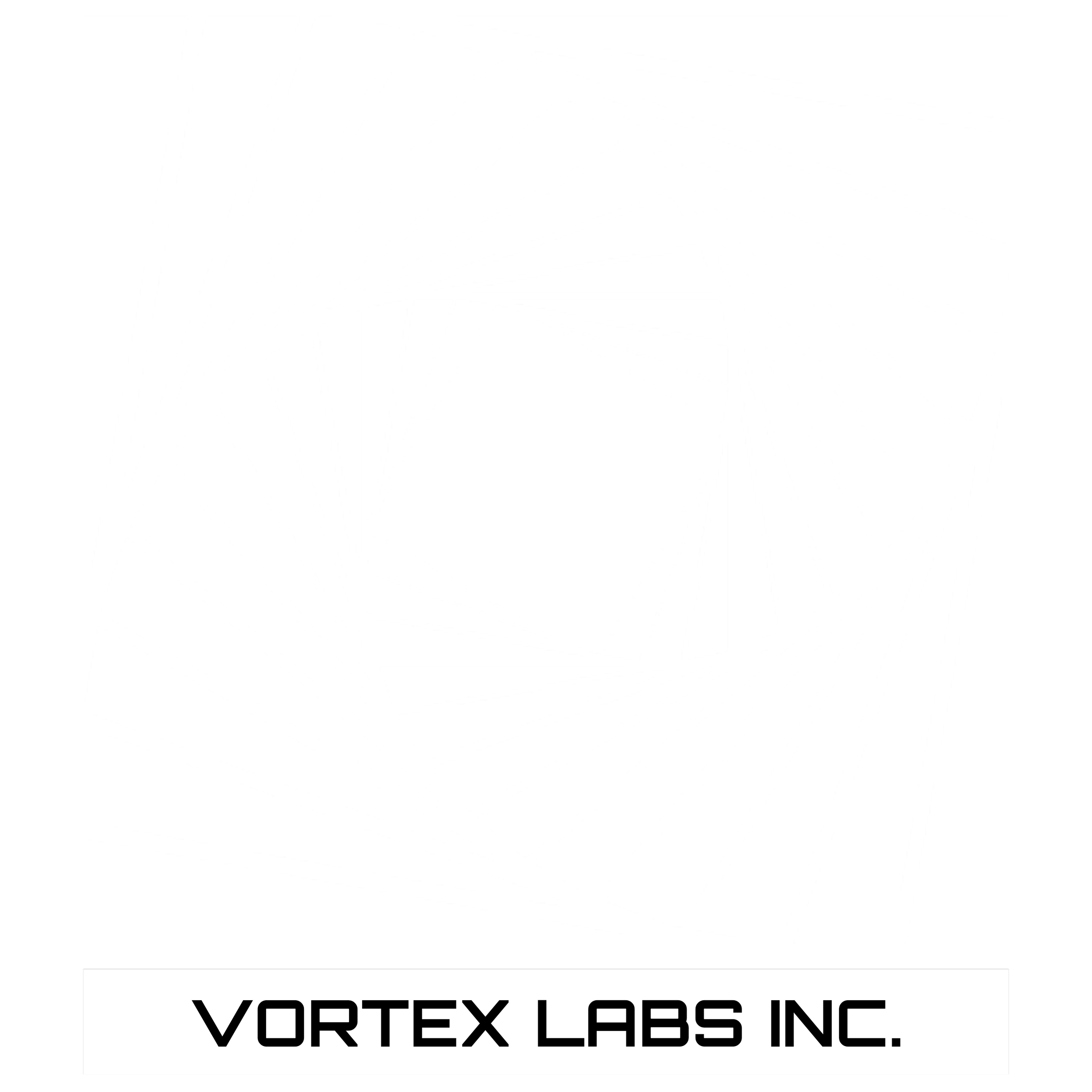 Vortex Labs Inc: Create the Momentum
