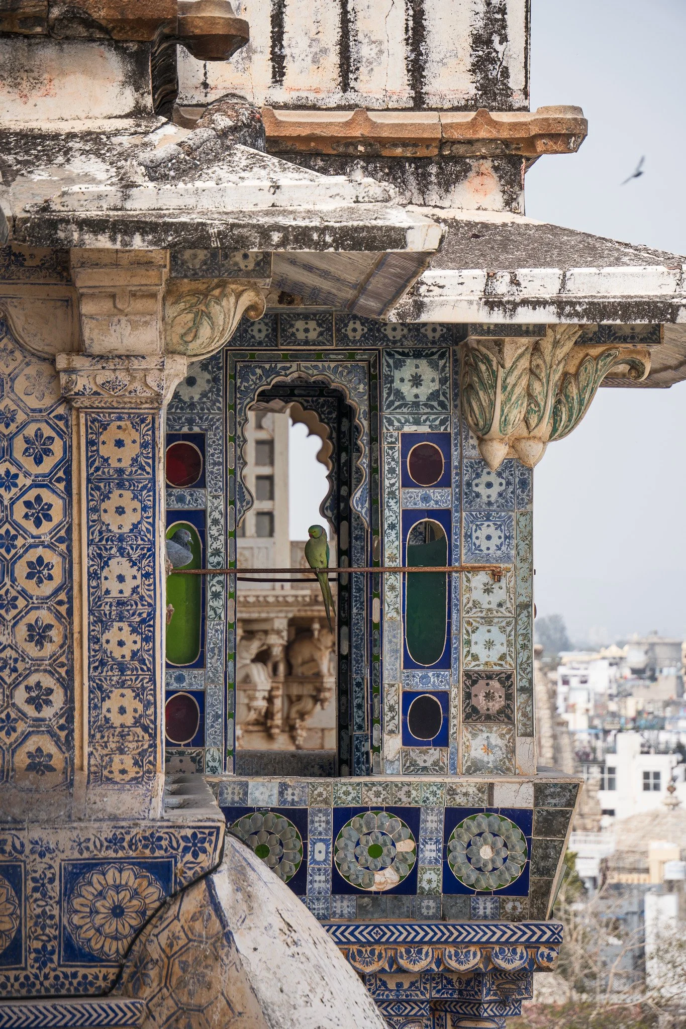 Udaipur-Blick-auf-Fenster-mit-Papagei-und-Stadt.jpg