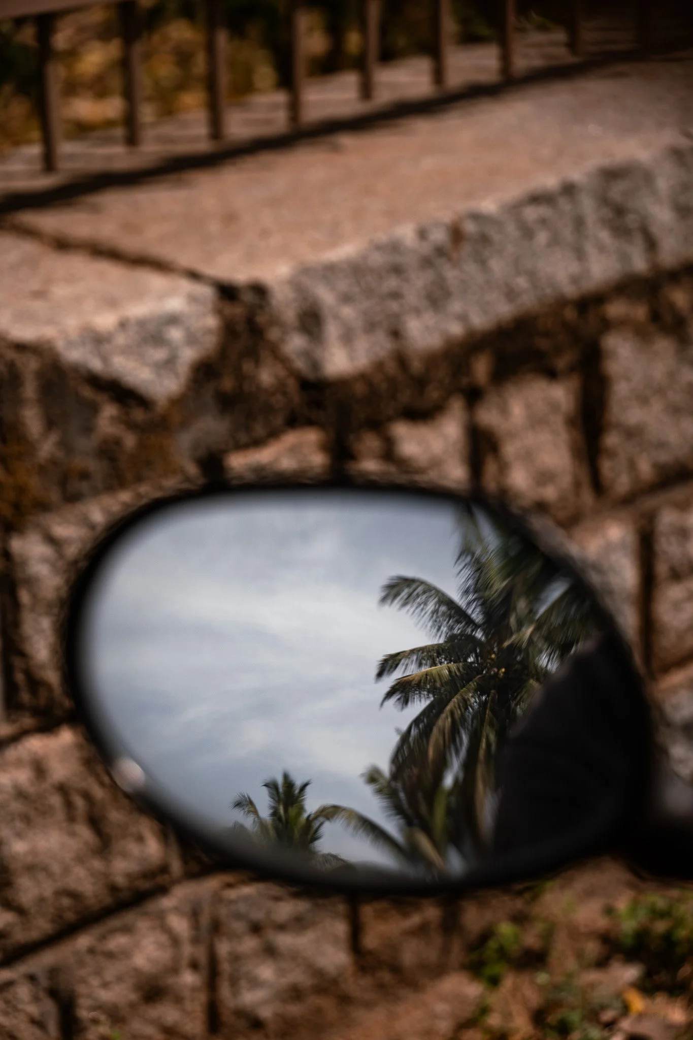 Hampi-Palmen-in-Rollerspiegel.jpg