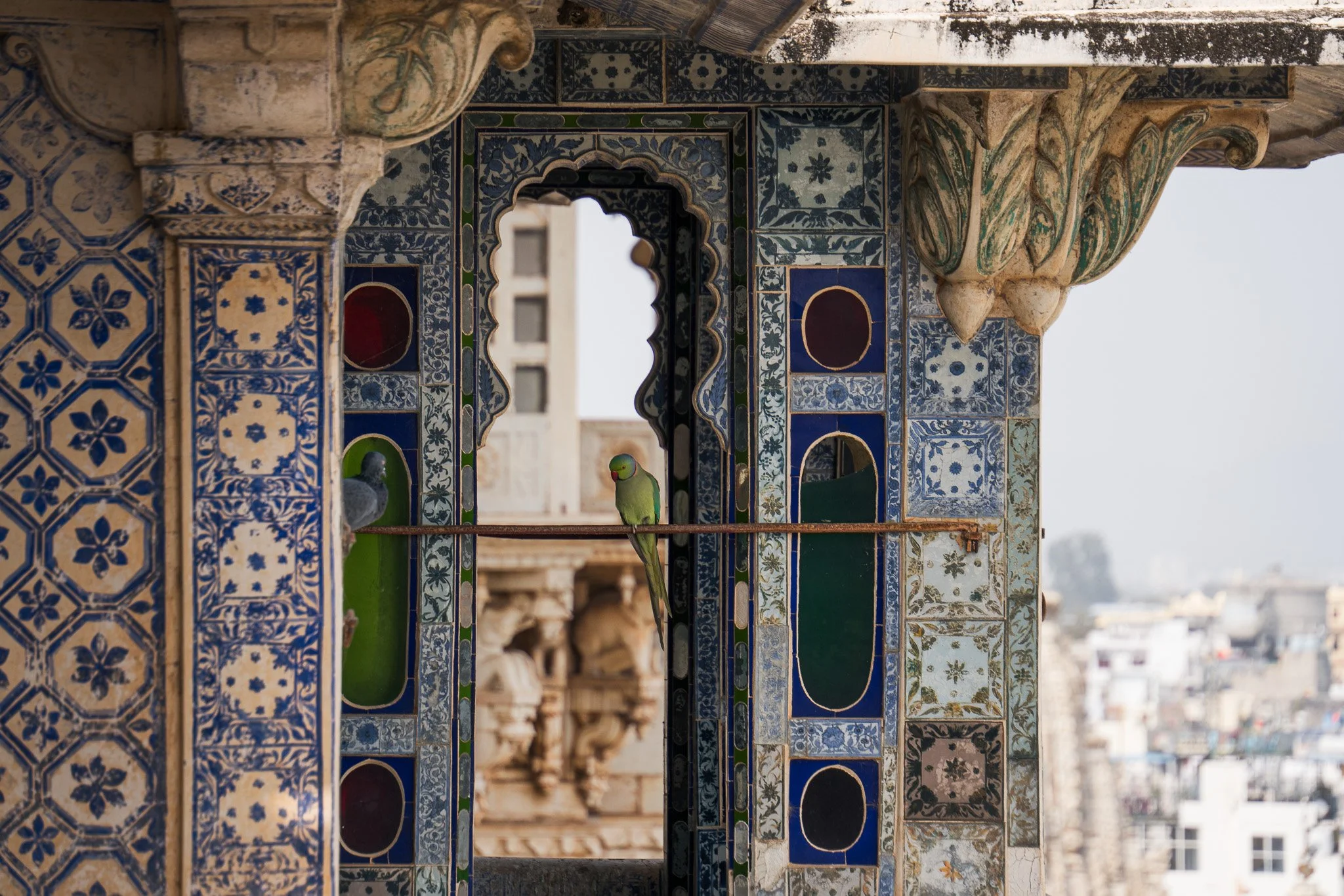 Udaipur-Fenster-mit-Papagei.jpg