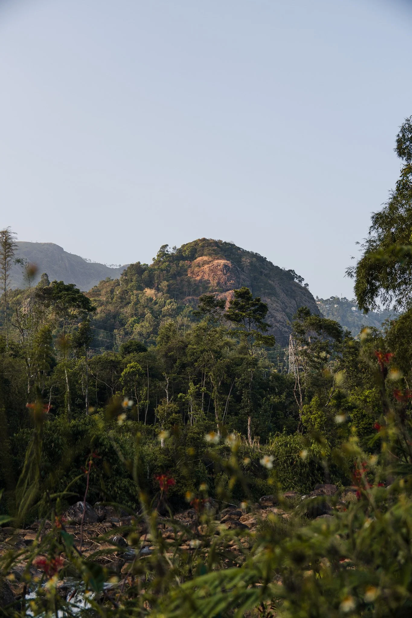 Munnar-Chithirapuram-Natur.jpg