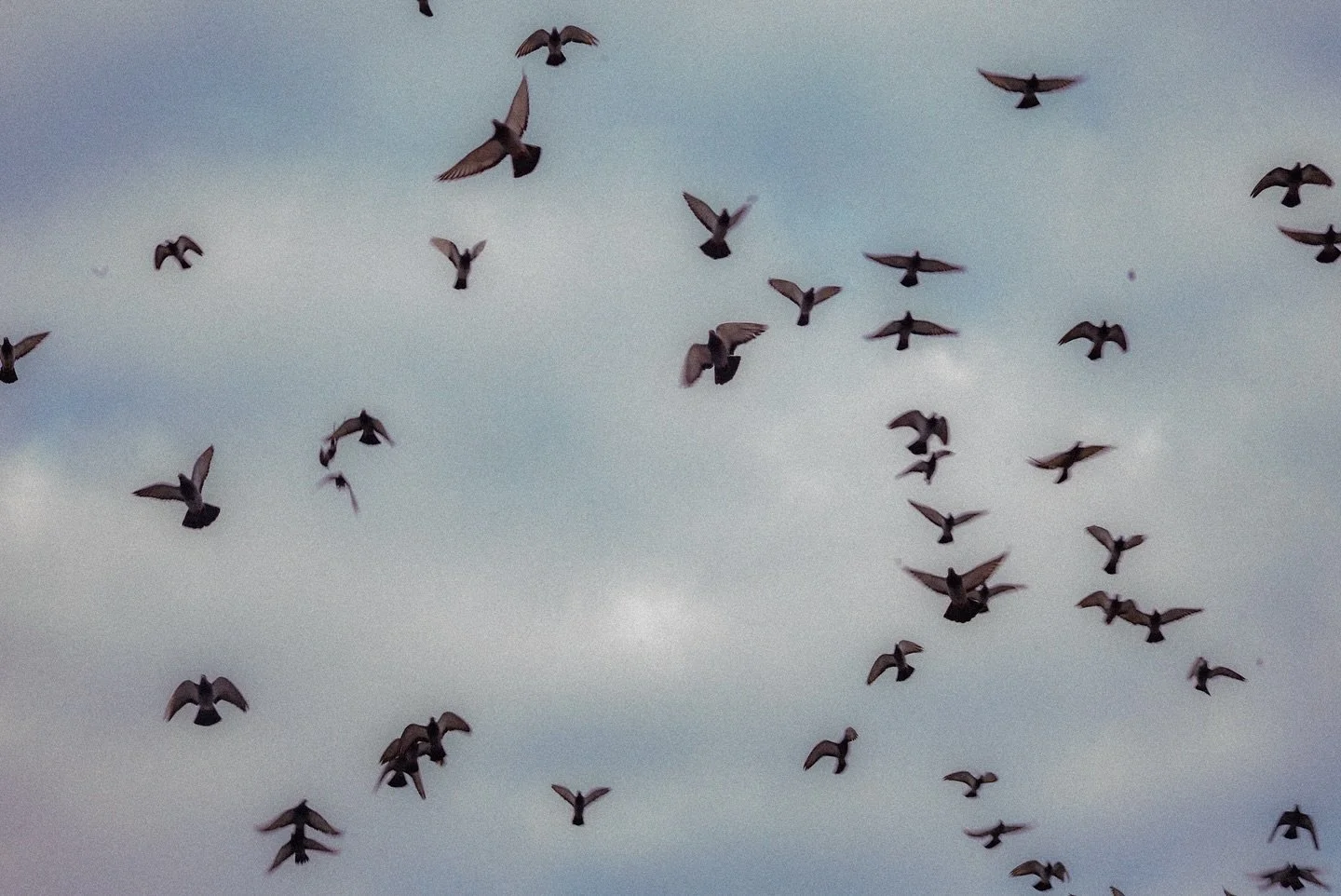 Missin&rsquo; Liverpool