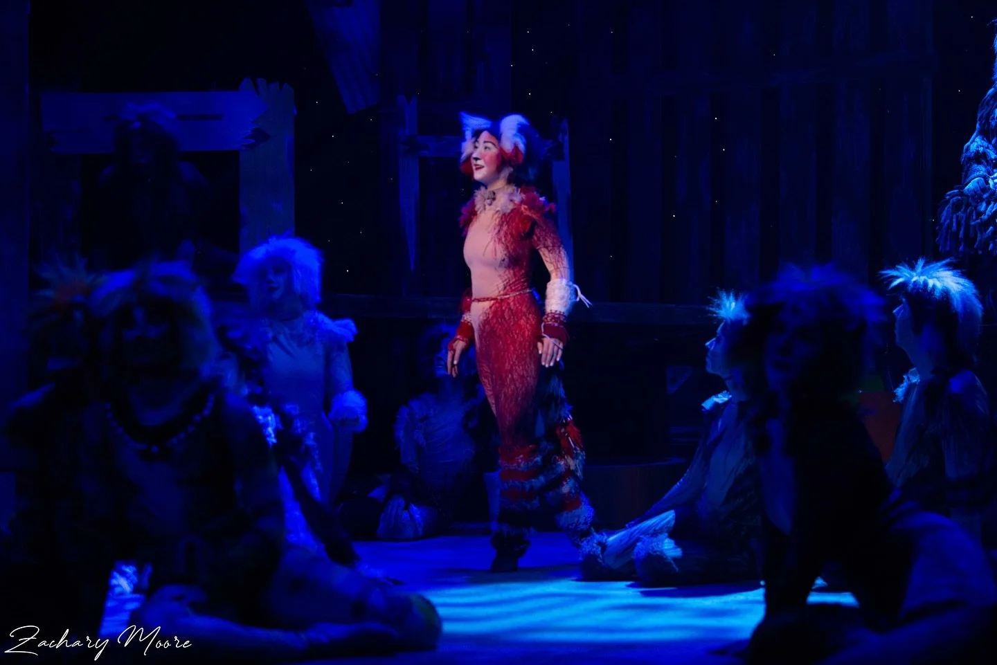 CATS✨🐾🌙

making my @broadwaytheatreofpitman debut with this incredible group of people was so so special. the hugest thank you to @daddarioty and the rest of the team for trusting me and allowing me to be a part of this lifelong dream. and sillabub