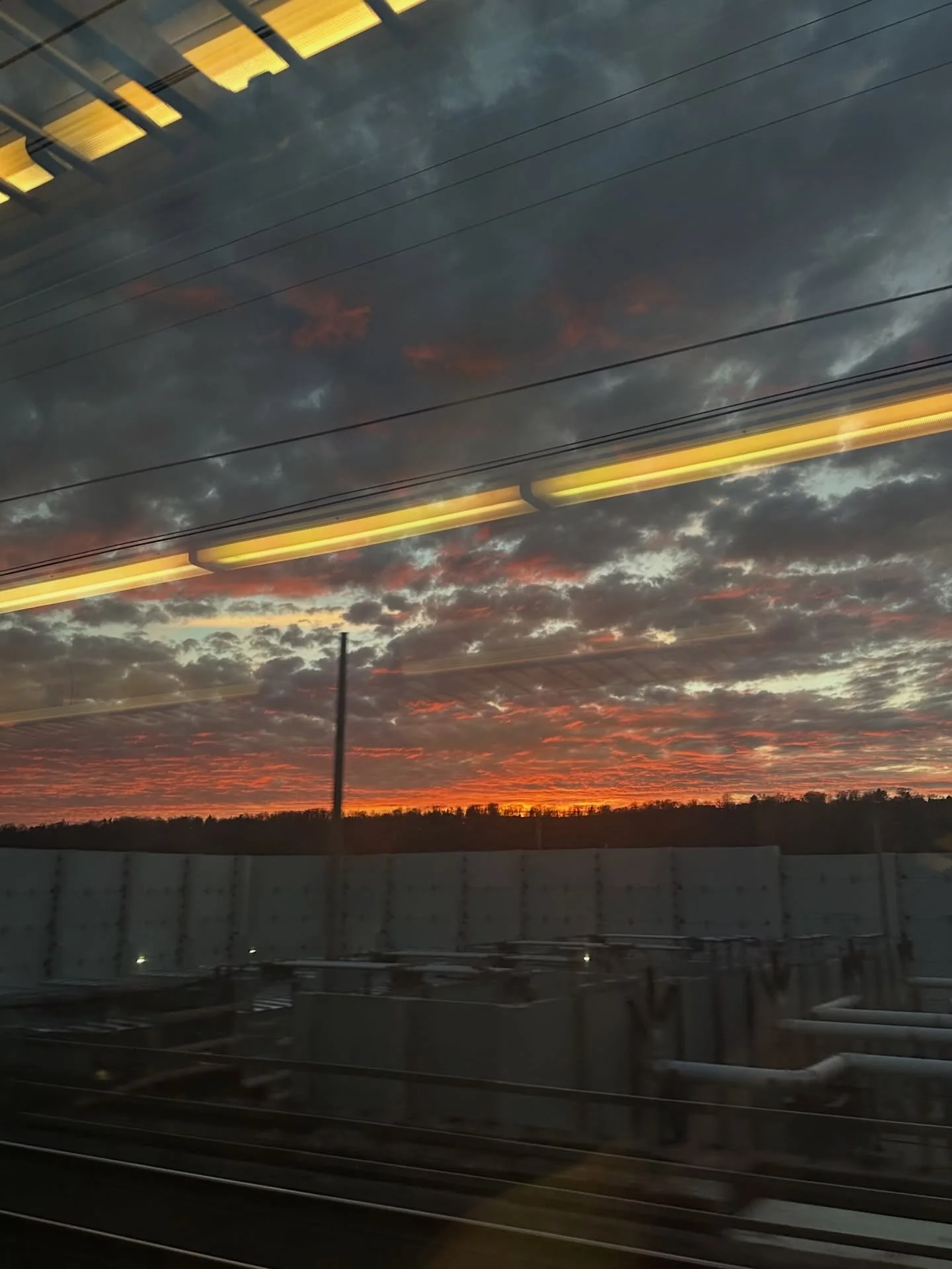 a little bit of what&rsquo;s new 🍯