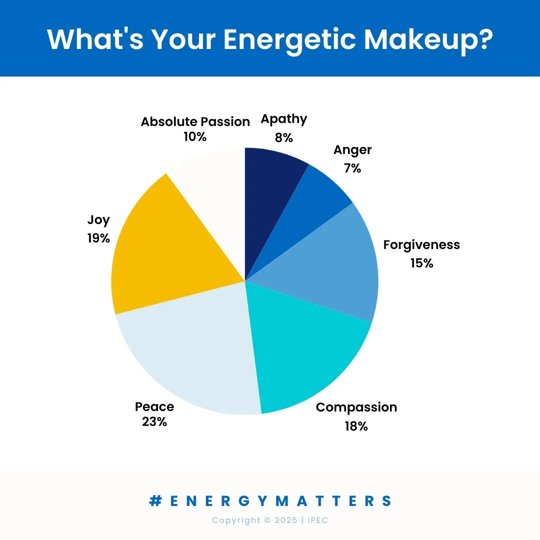 Energy Leadership Index® Assessment