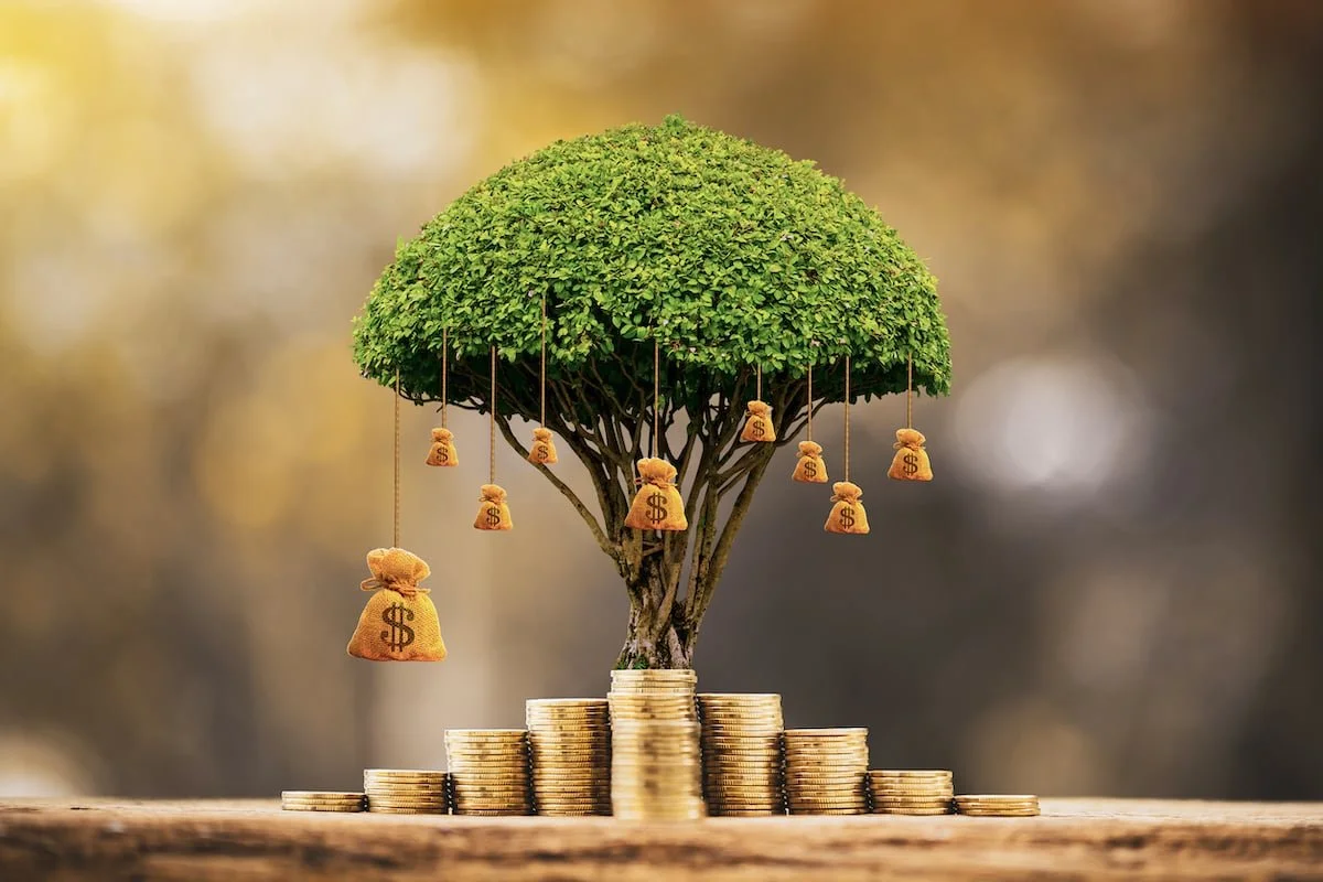 Attracting Wealth & Abundance: Clearing Money Blockages for Prosperity