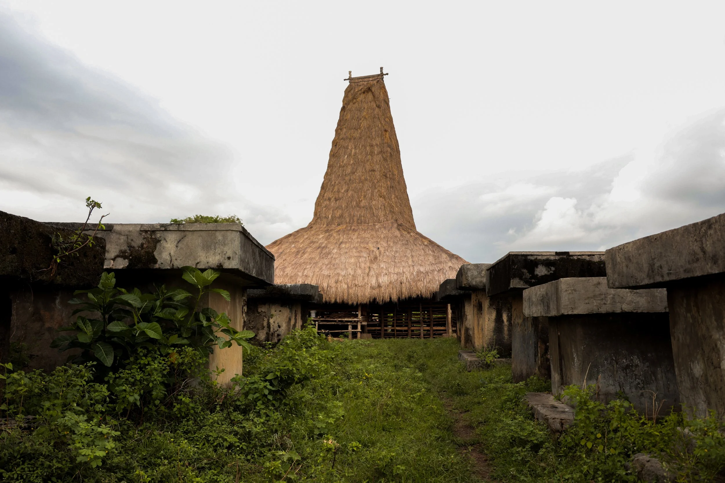 houses-1.jpg