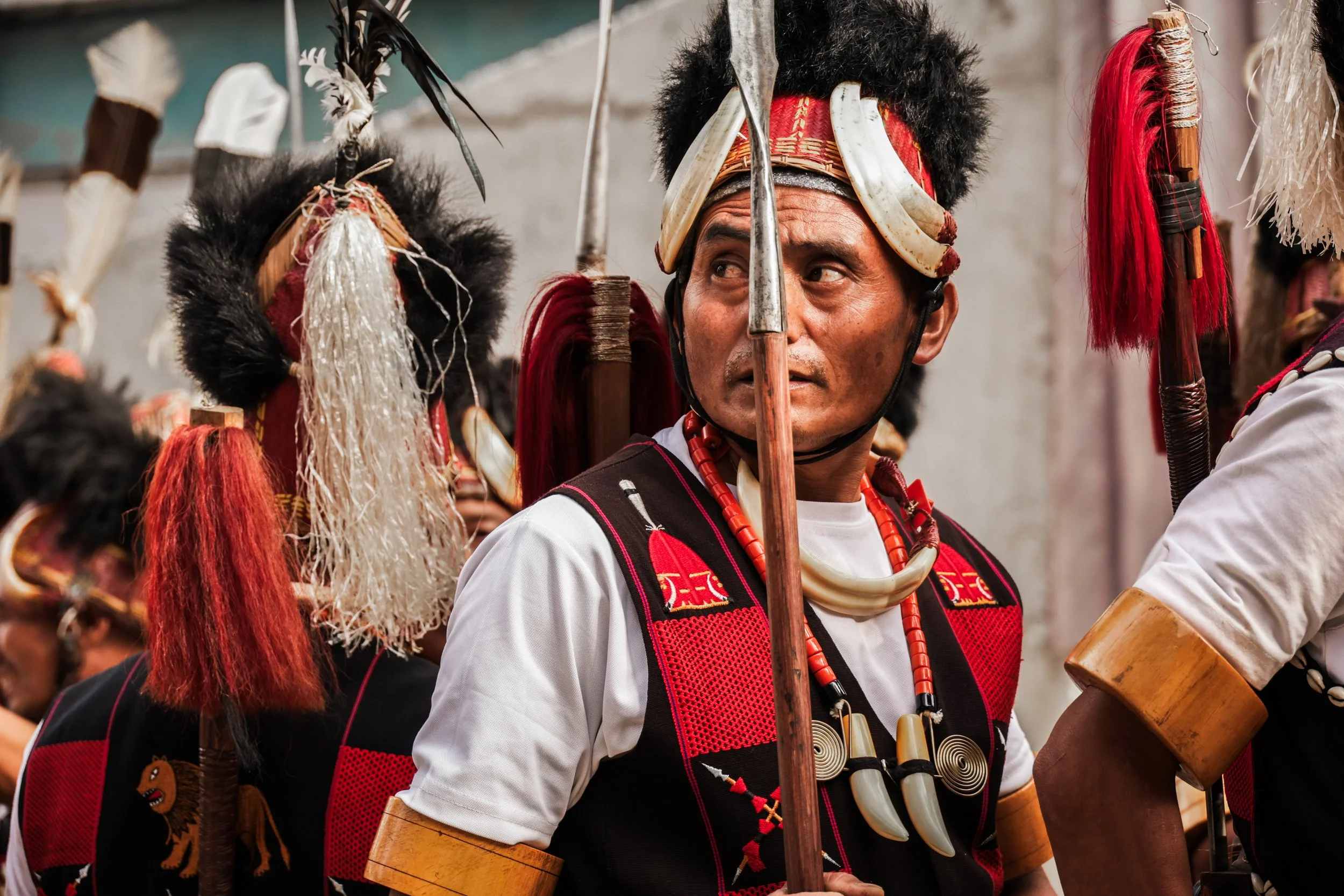 Hornbill Arena-  Carly-25.jpg