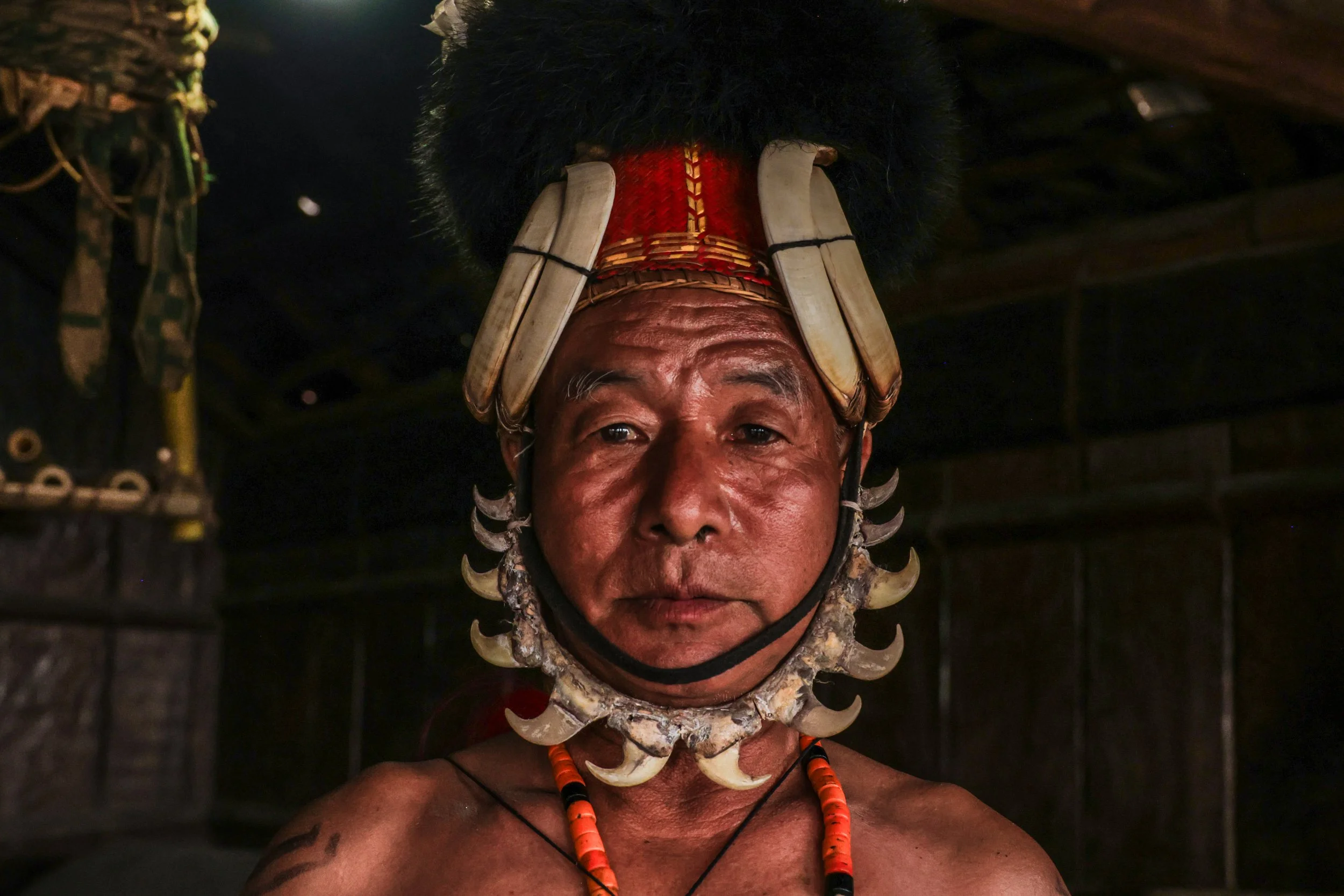 Hornbill Portraits-09.jpg
