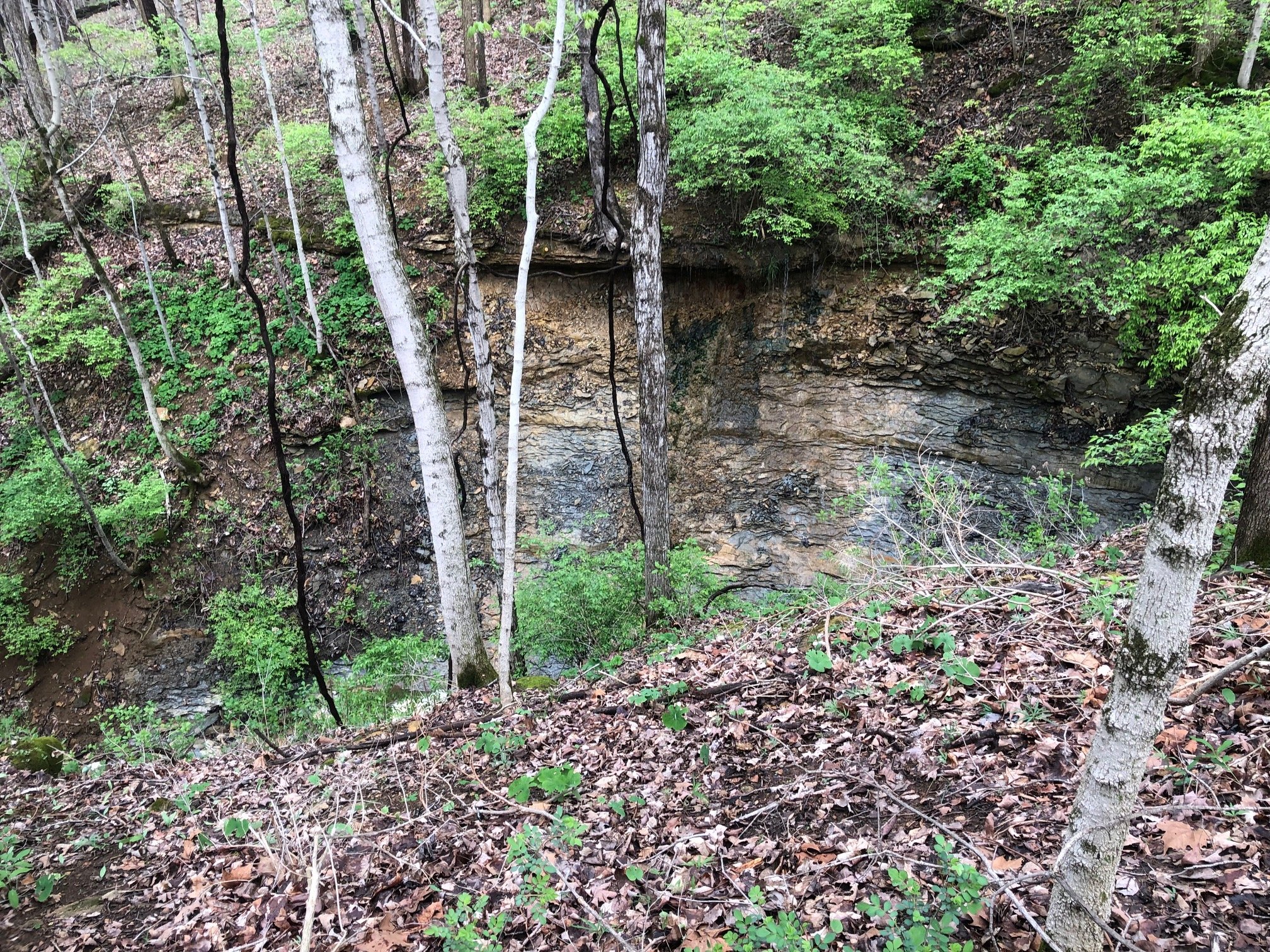 IMG_3715.jpg