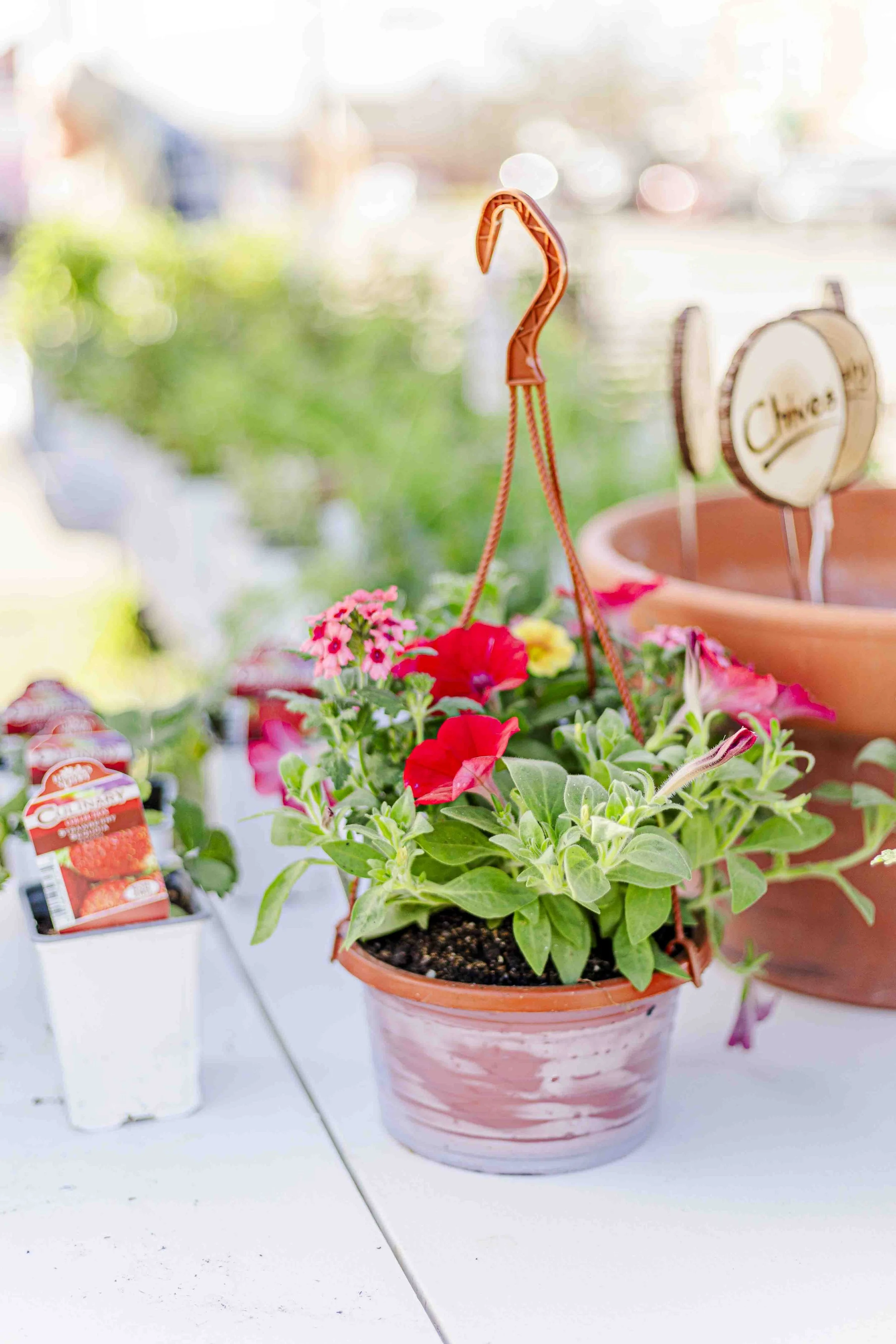 OPENING DAY (SATURDAY) & PLANT SALE