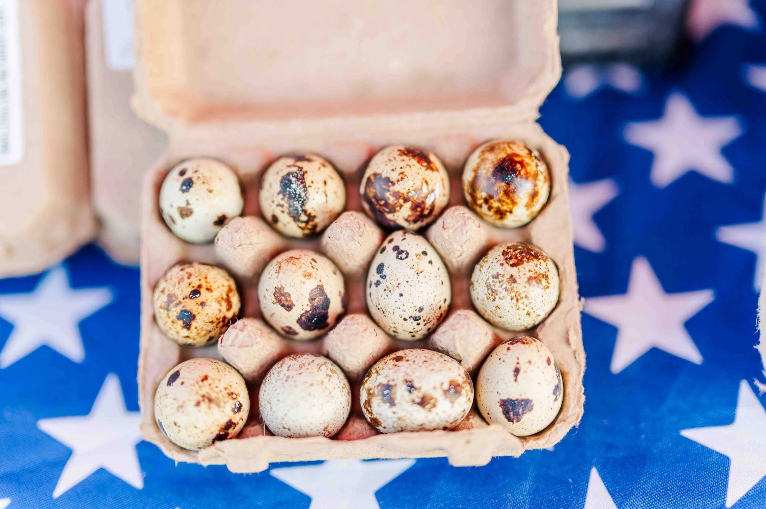July 24th Market