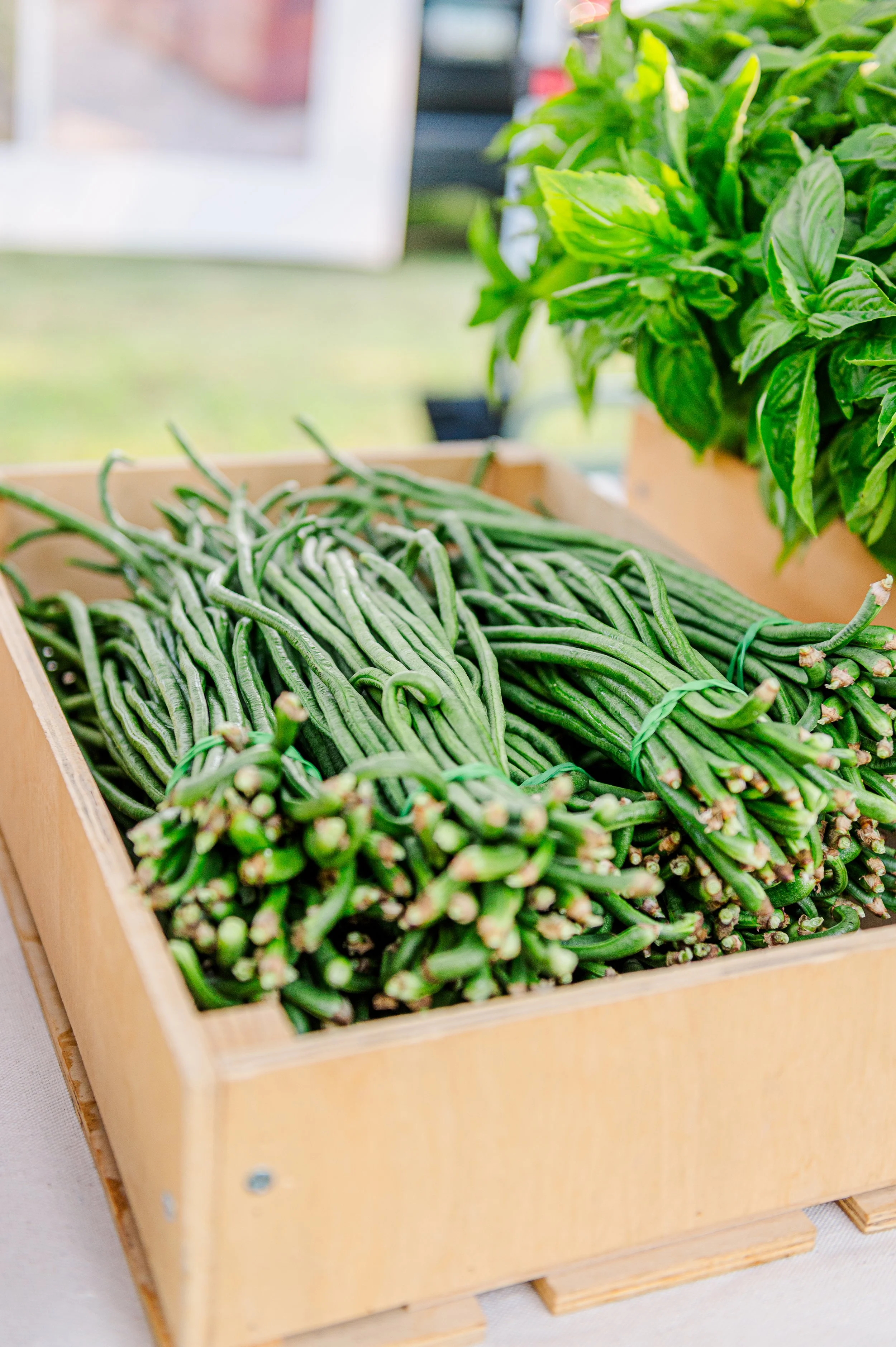 August 16th Market (Sunday) 