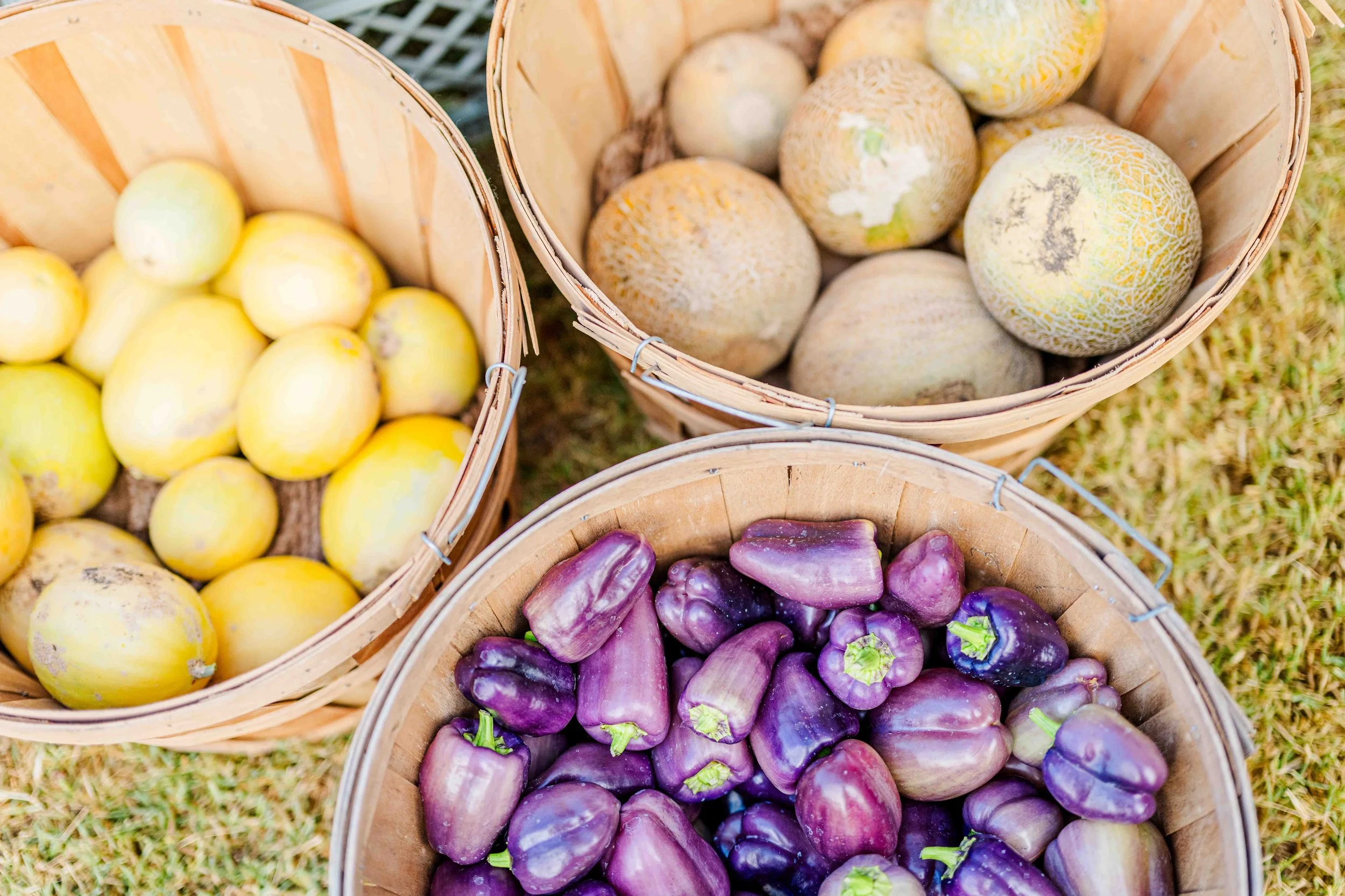 Harvest Fest, Day 2 (Sunday)