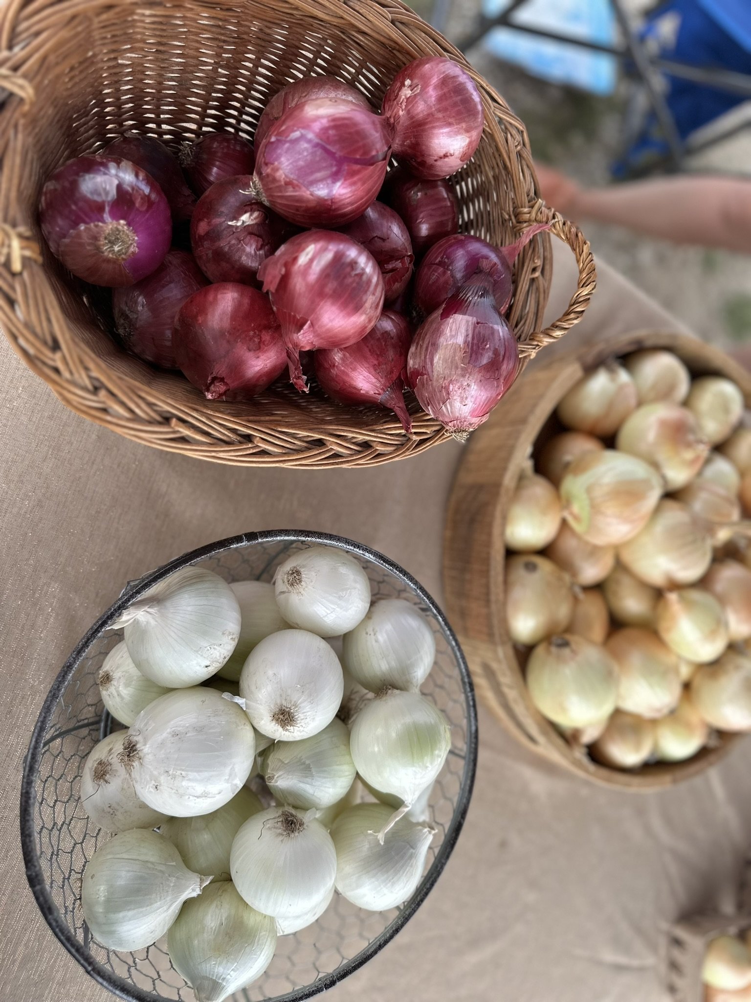 November 15th Market &amp; Small Business Days (Sunday)