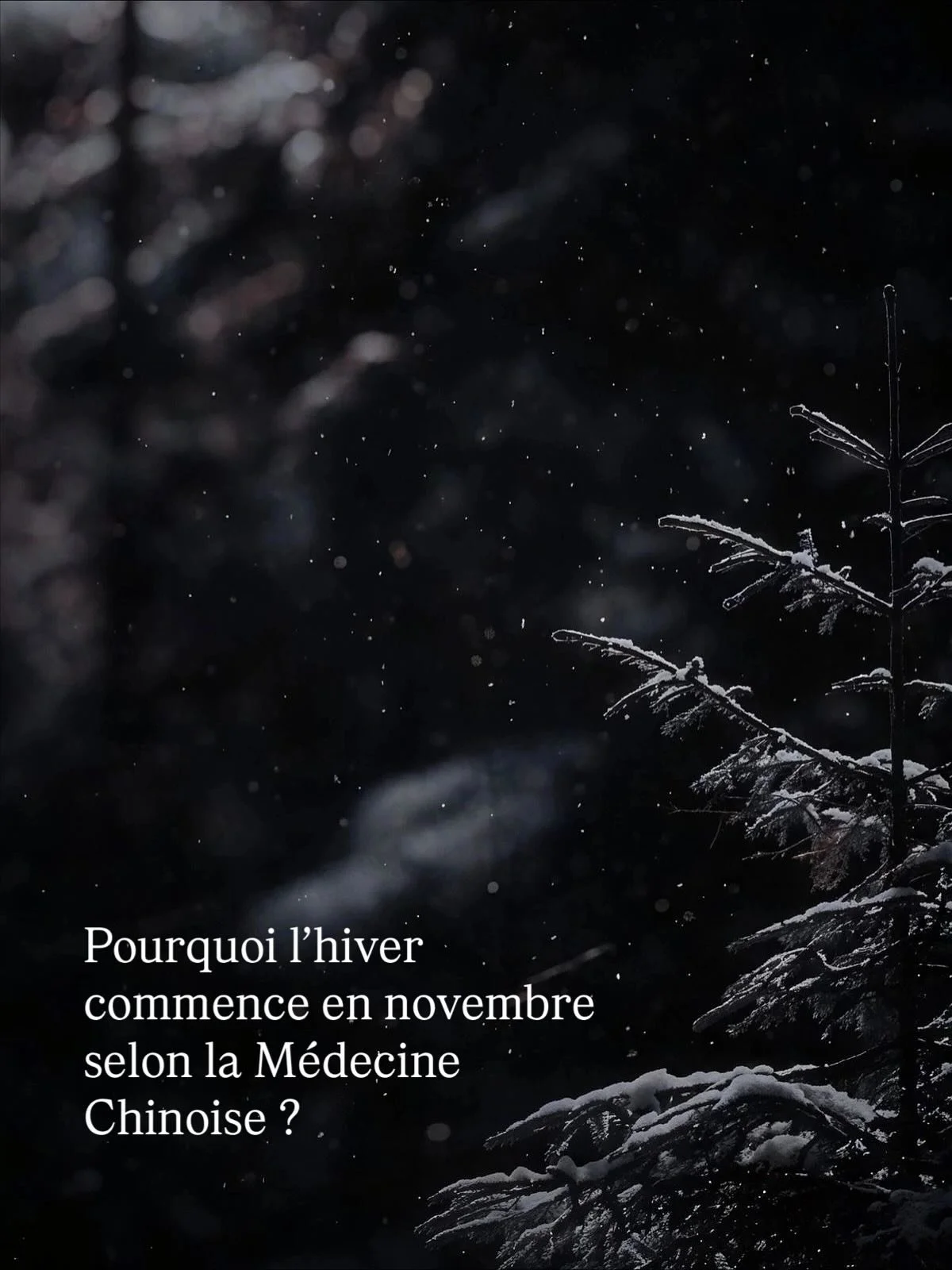 Spoiler : la nature n&rsquo;attend pas le froid pour se mettre au repos. Et vous ? 

Mon programme vous attend sur mes5saisons.com 

#mes5saisons #programme #sante #bienetre #medecinetraditionnellechinoise #energie #hiver