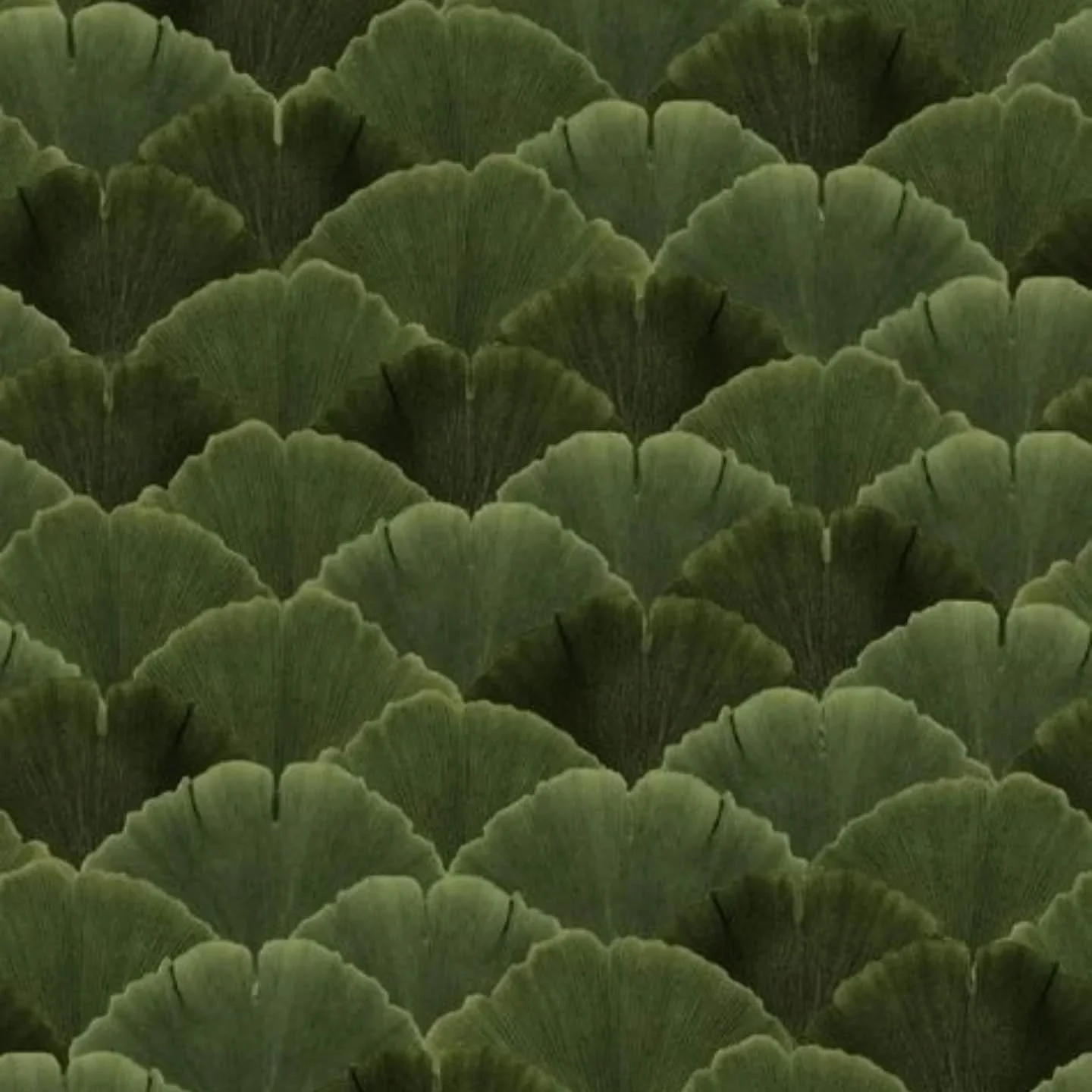 Cette saison correspond &agrave; la p&eacute;riode du commencement et du d&eacute;veloppement de la vie comme la croissance de tous les v&eacute;g&eacute;taux.

L&rsquo;homme s&rsquo;appuie sur ses racines (travaill&eacute;es en hiver) et se dresse t