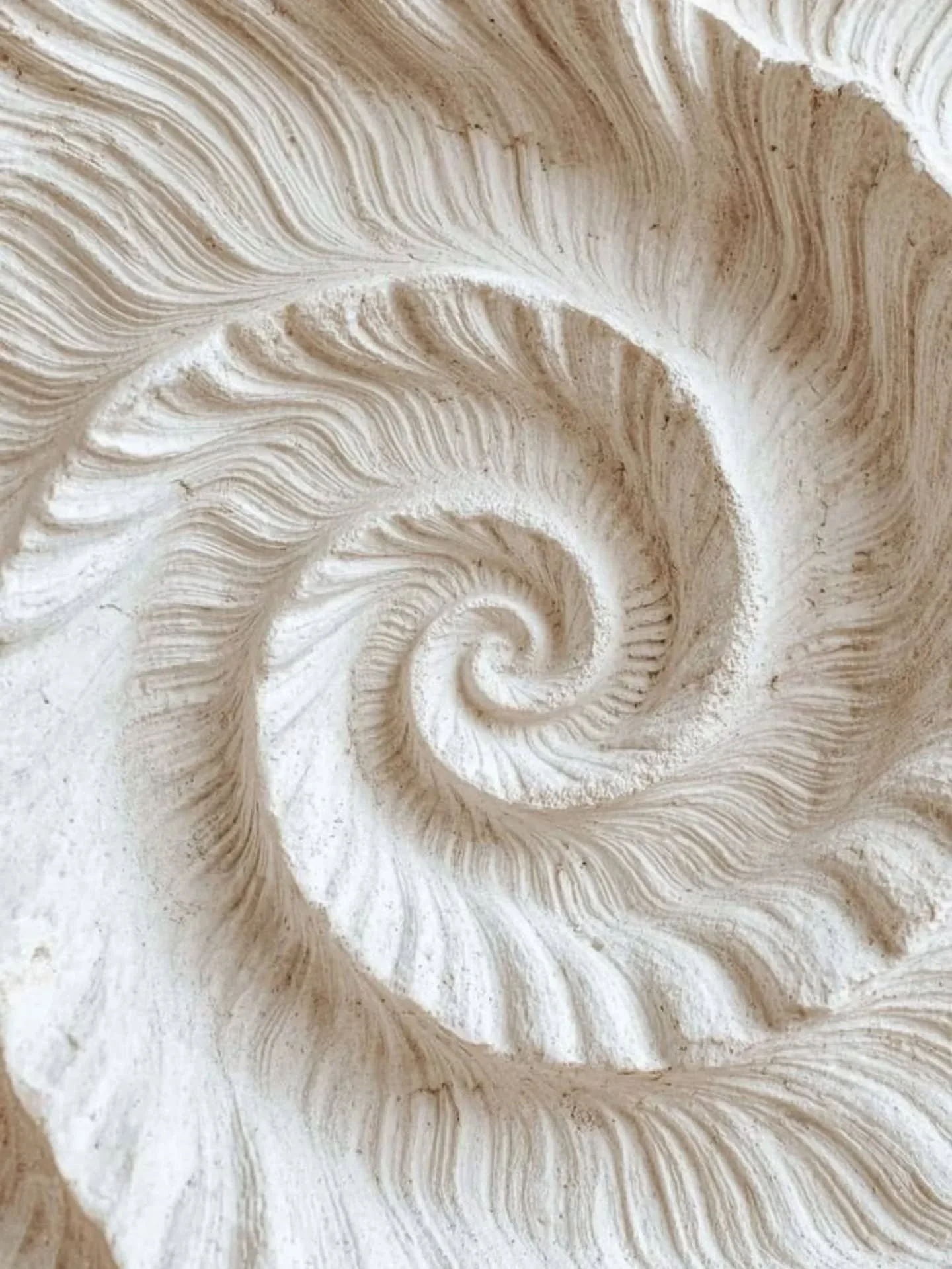 🌿 Le Foie (Gan) 

Voici les fonctions principales du Foie : 

1. Assure la libre circulation du Qi
C&rsquo;est la fonction cl&eacute; du Foie.
Il fait circuler le Qi, le Sang et les &eacute;motions.

2. Stocke le Sang
Le Foie emmagasine le Sang au r