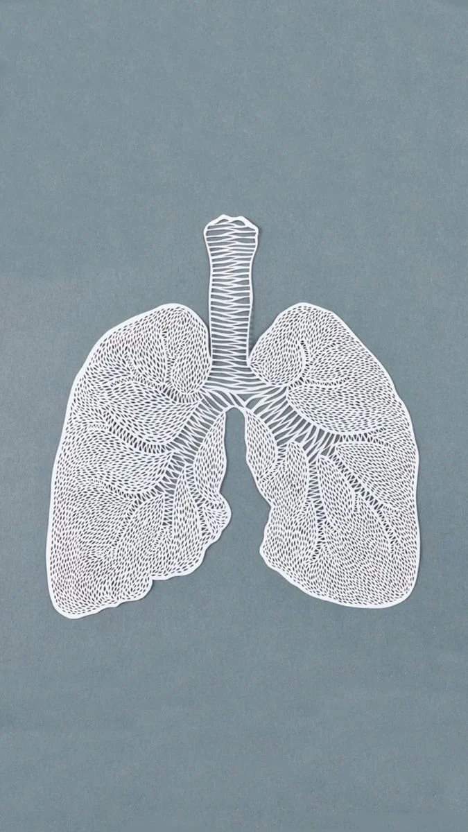 Illustration de poumons en forme de papier découpé blanc sur fond gris.