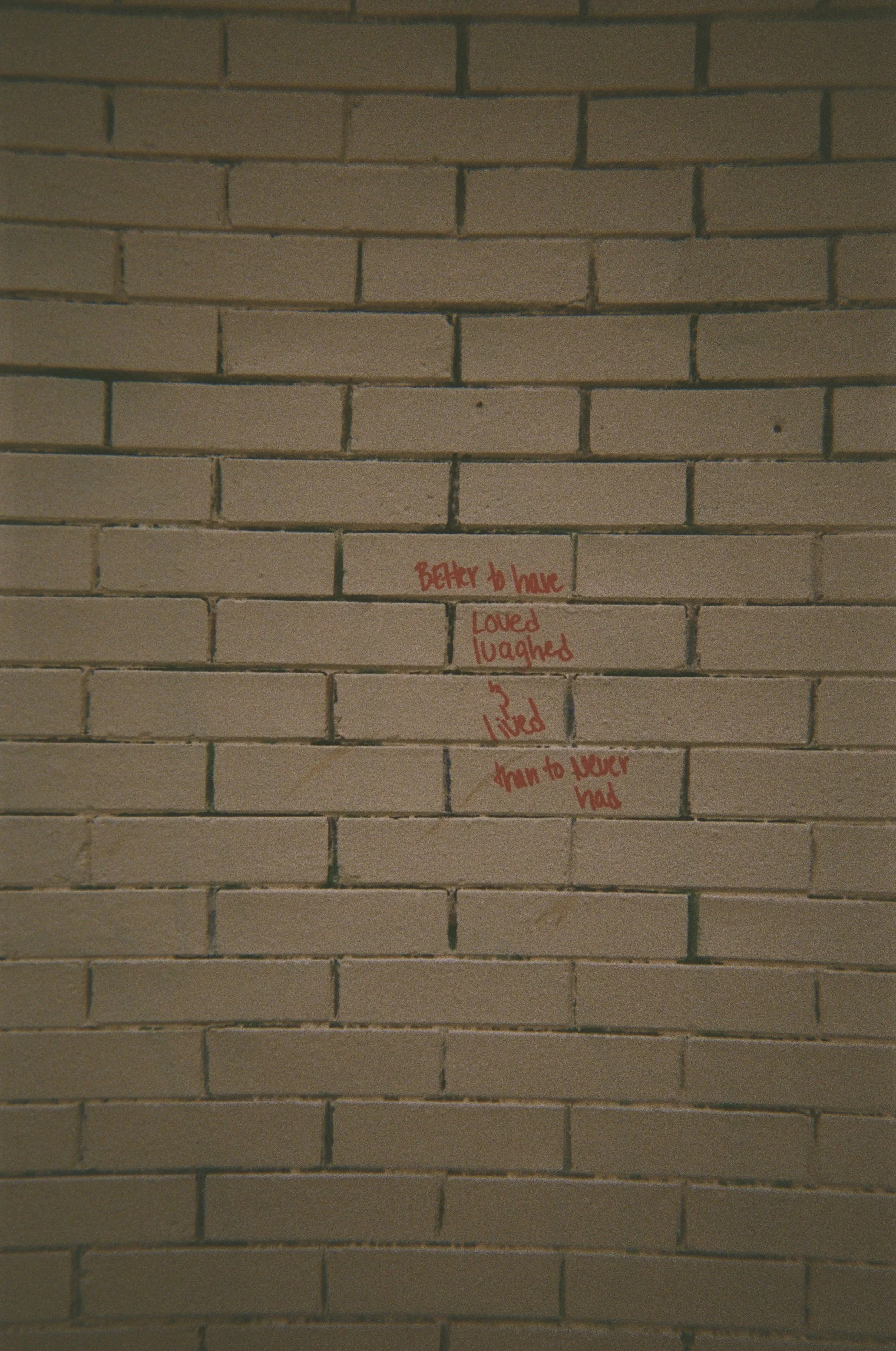 69142592_1087504_8ea9f5d84335a2b67a7dc177fe898a8f_full.jpeg