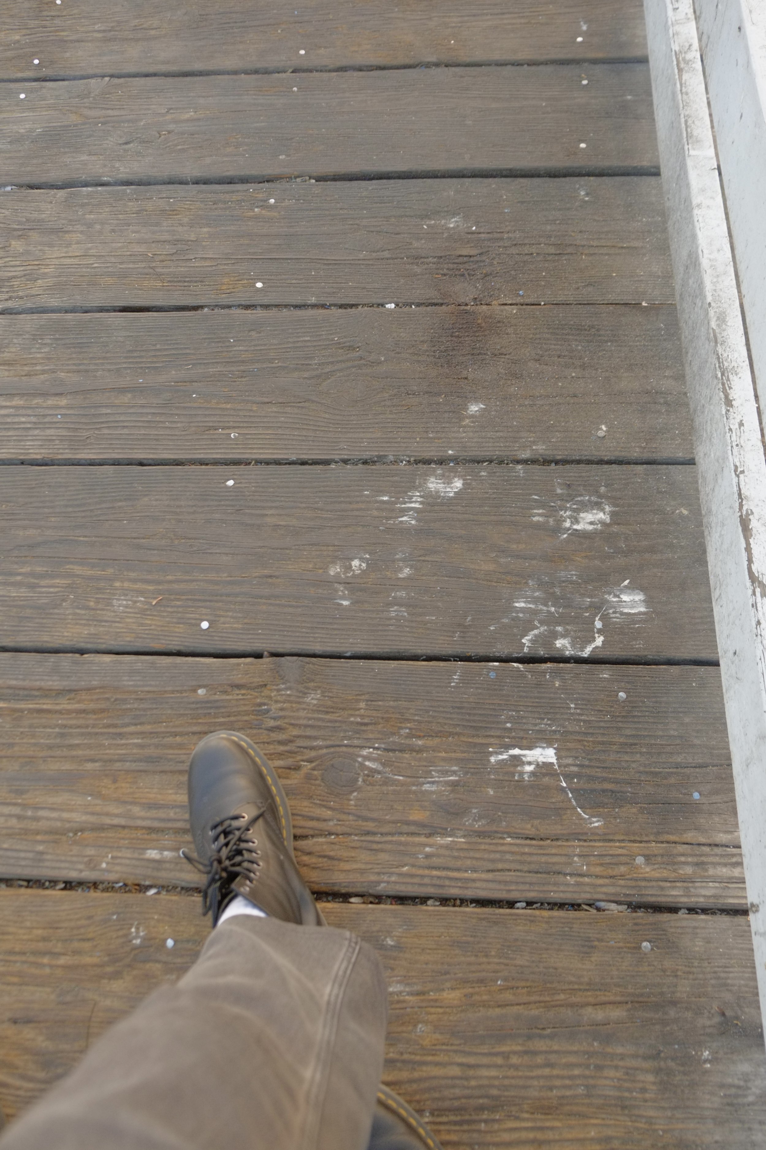 DSCF9729.JPG