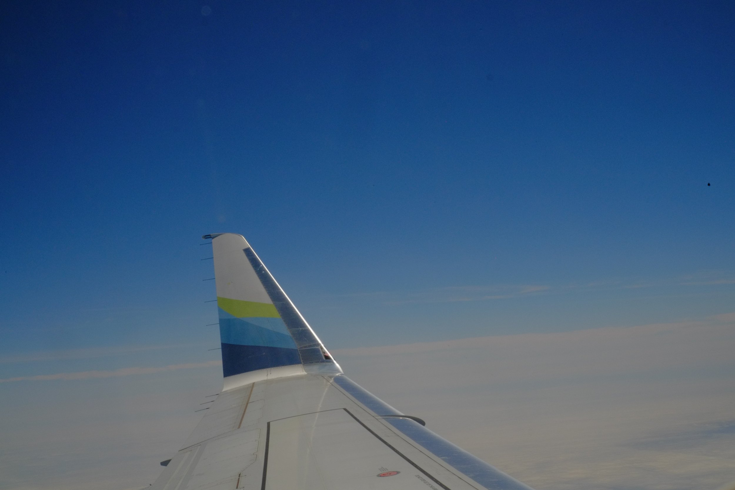 IMG_2943.JPEG