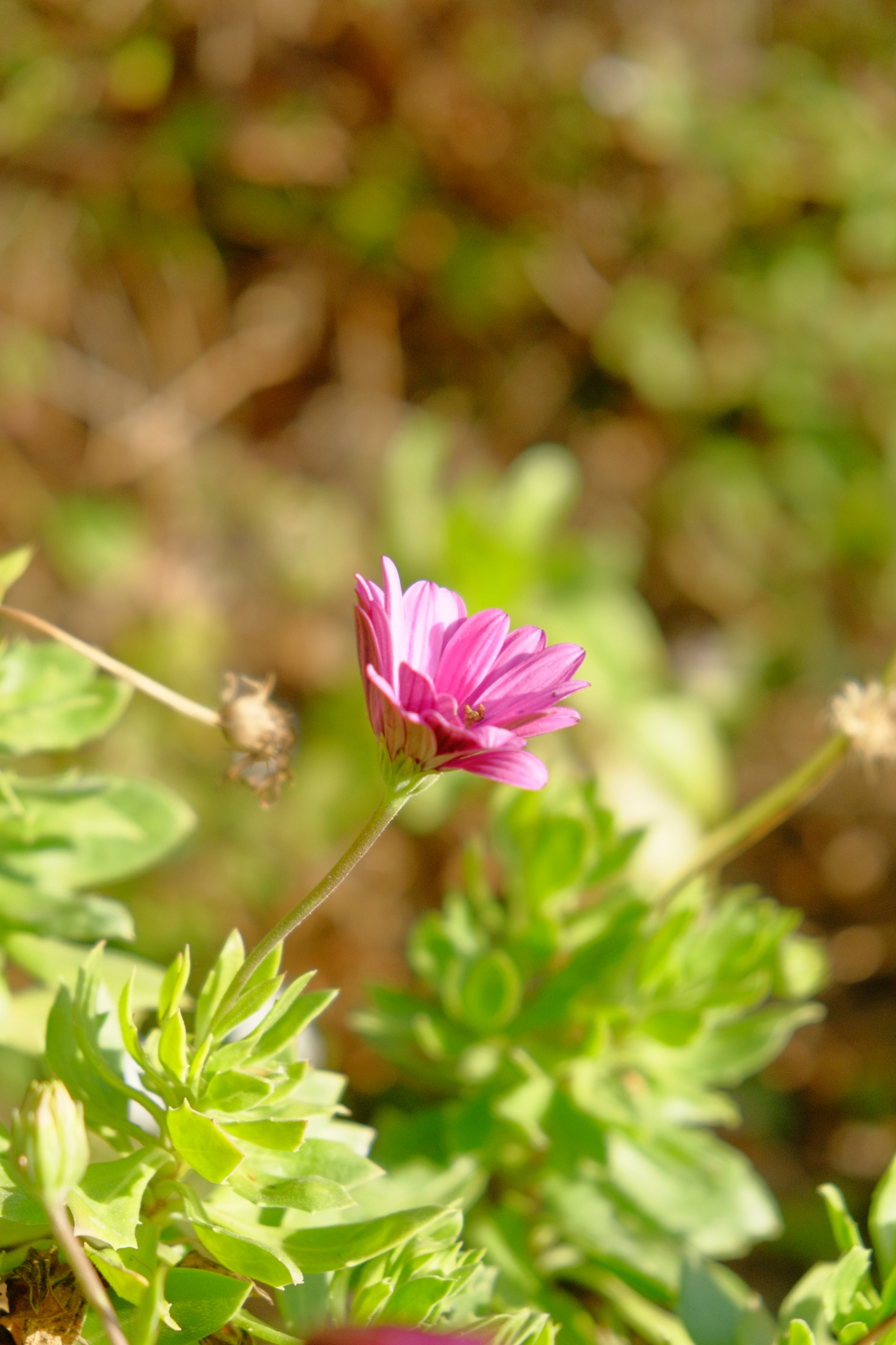 DSCF9886.JPG