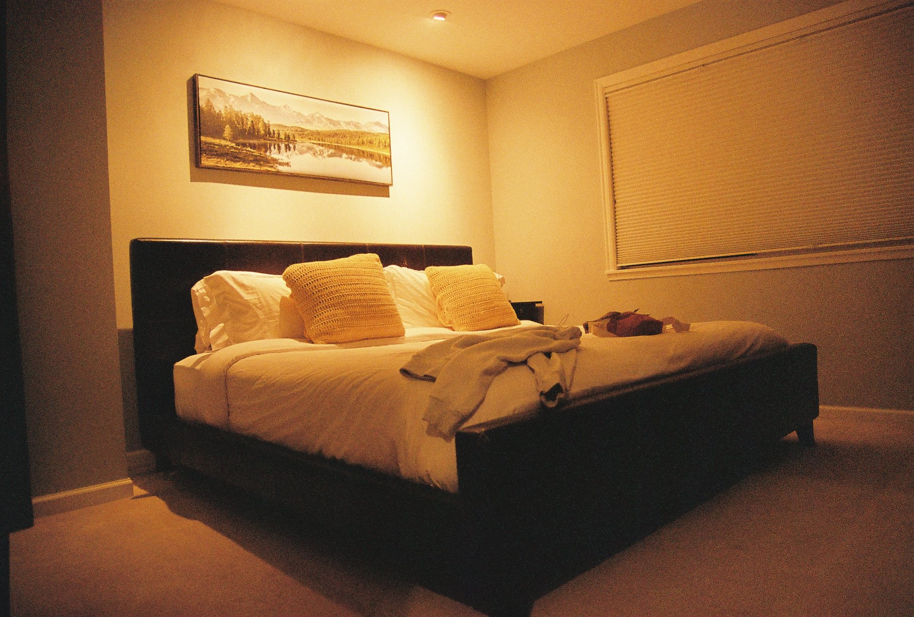R1-07378-002A.jpeg