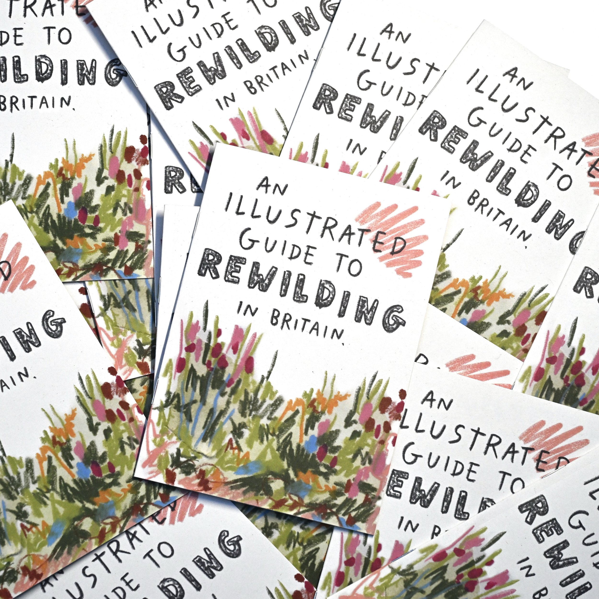 NEW! Illustrated Guide To Rewilding In Britain - Downloadable PDF (Supporting Rewilding Britain)