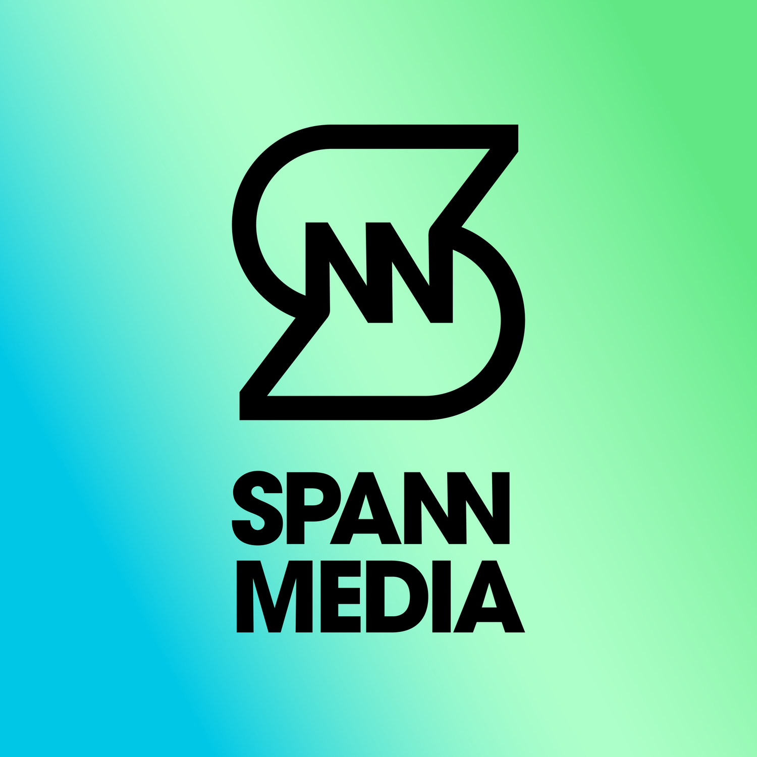 Spann Media, LLC