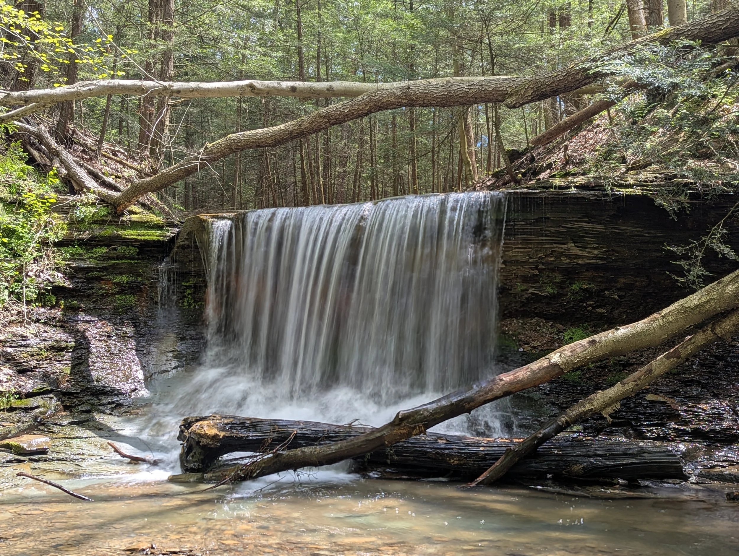 PXL_20260511_163853304.LONG_EXPOSURE-01.COVER.jpg