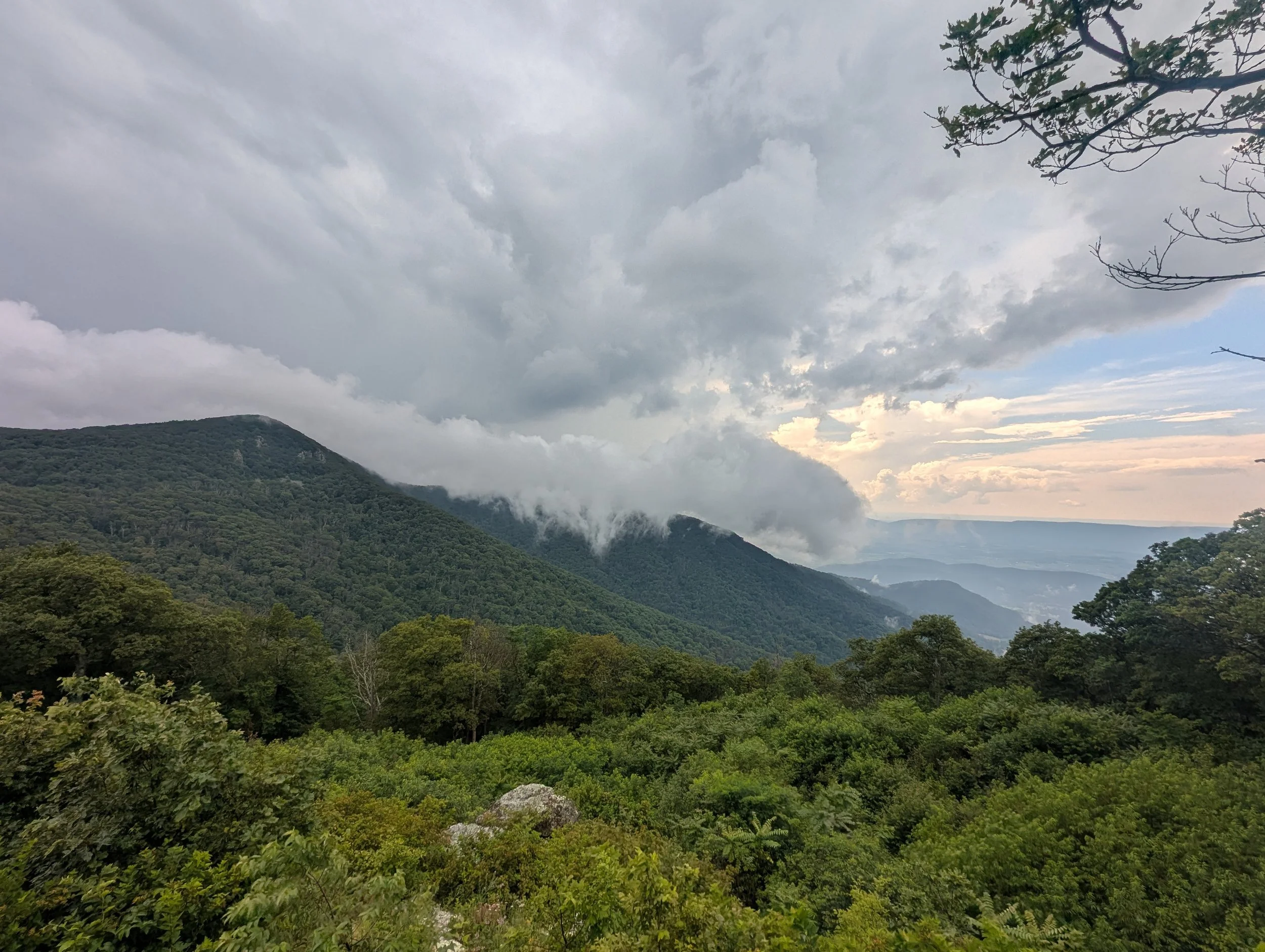 PXL_20250725_201943327.jpg