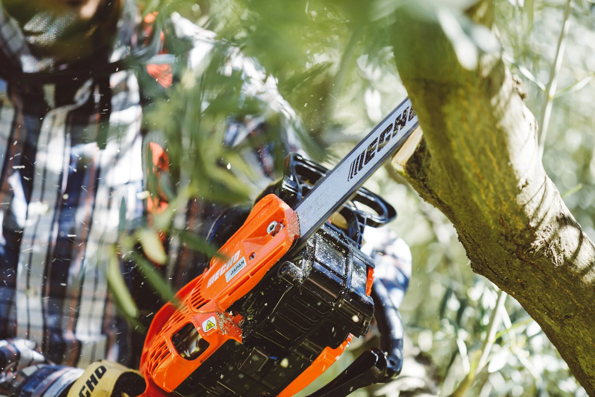 CS-2511WES-2019 (1).jpg
