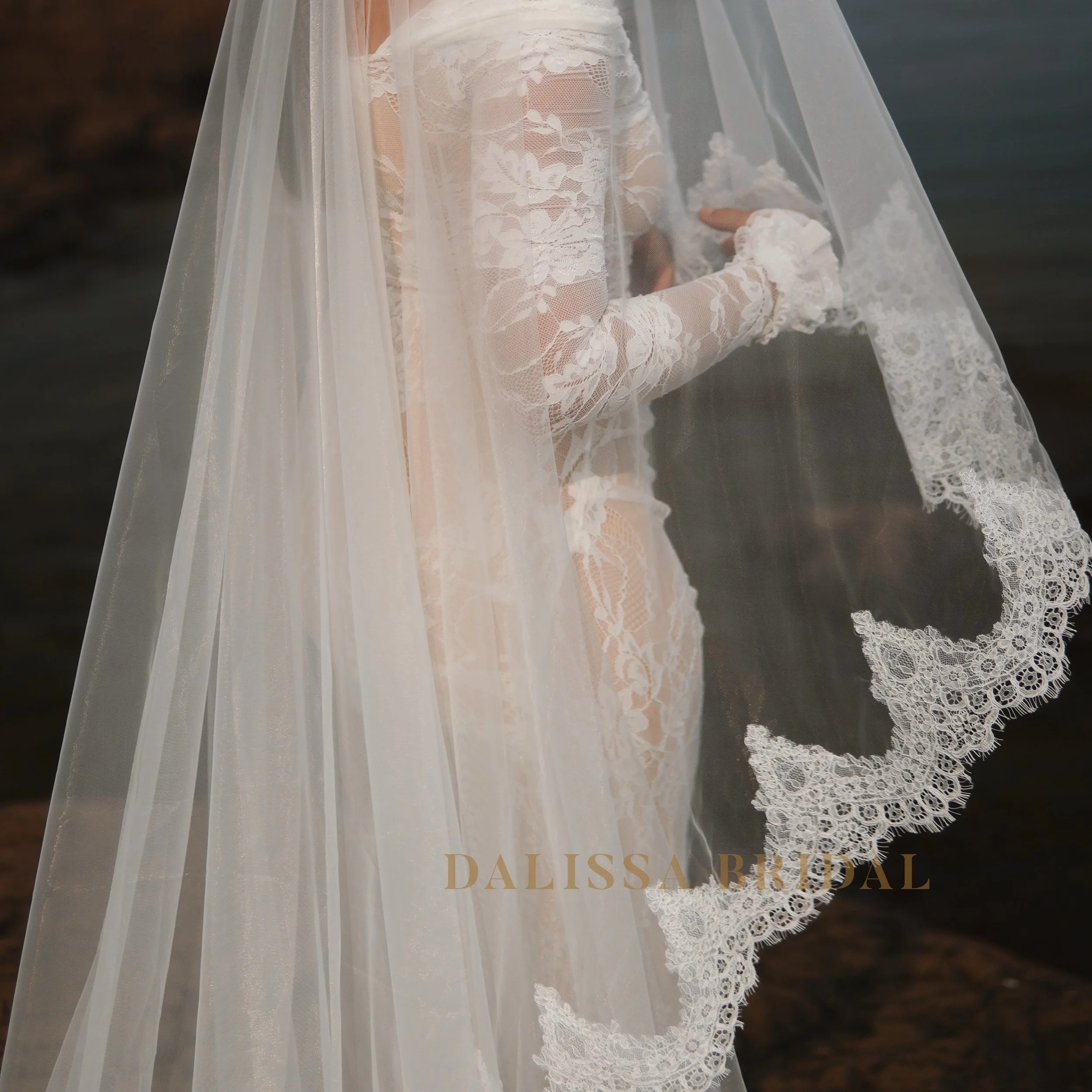 Close picture of the cantilly lace trim on the veil