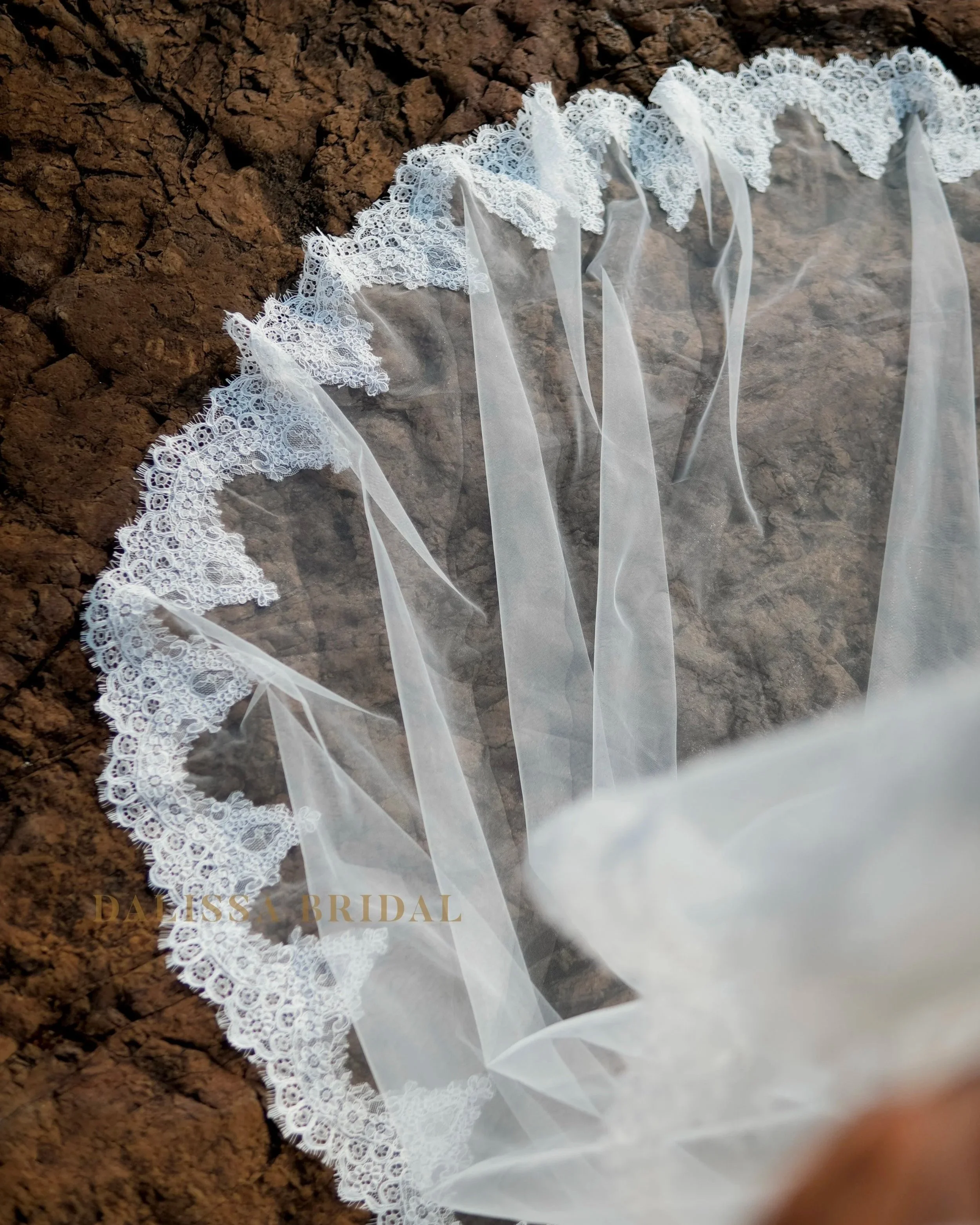 Close picture of the cantilly lace trim on the veil