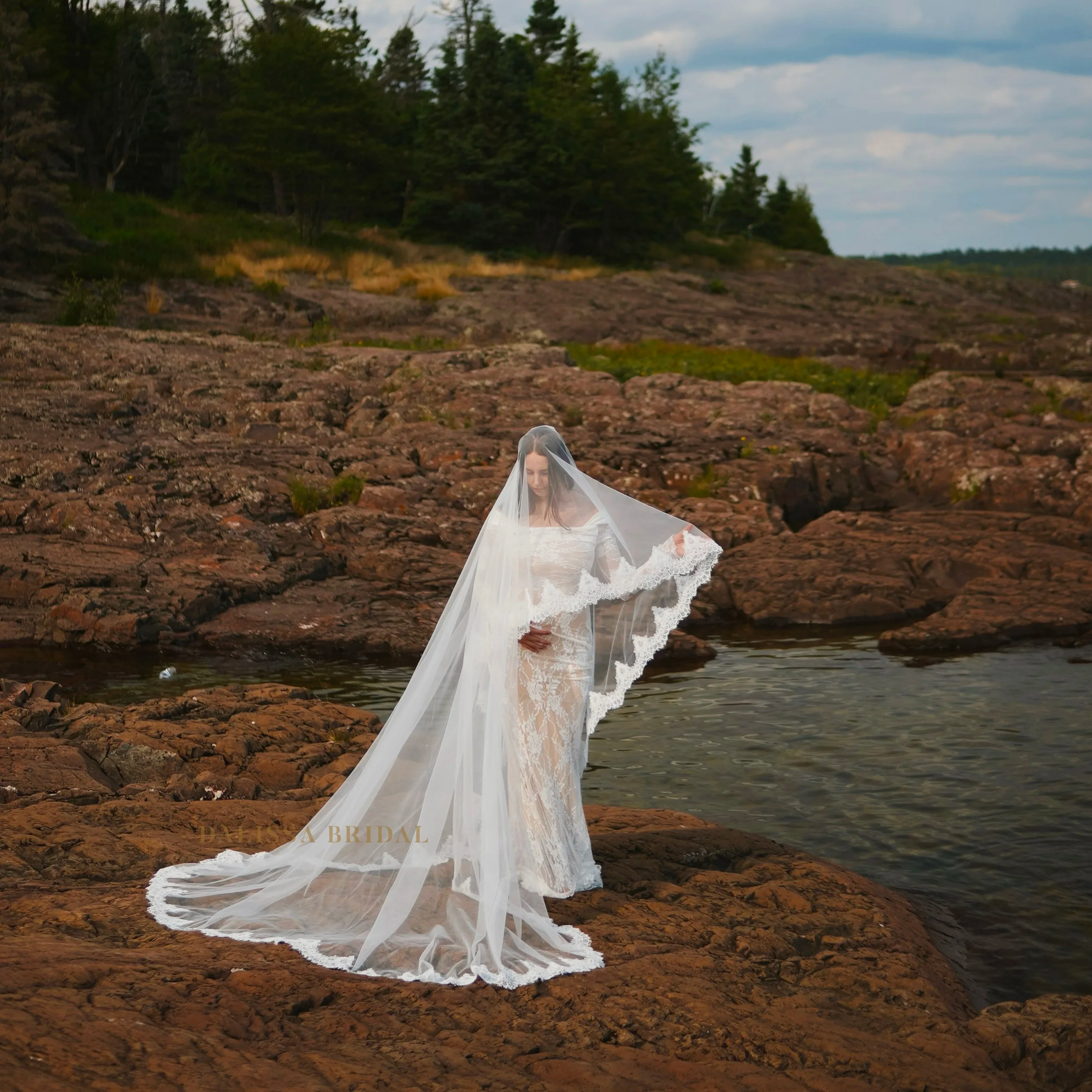 A Bride holds the sheer veil out with both arms, showcasing its delicate lace trim with a scalloped pattern along the edges.