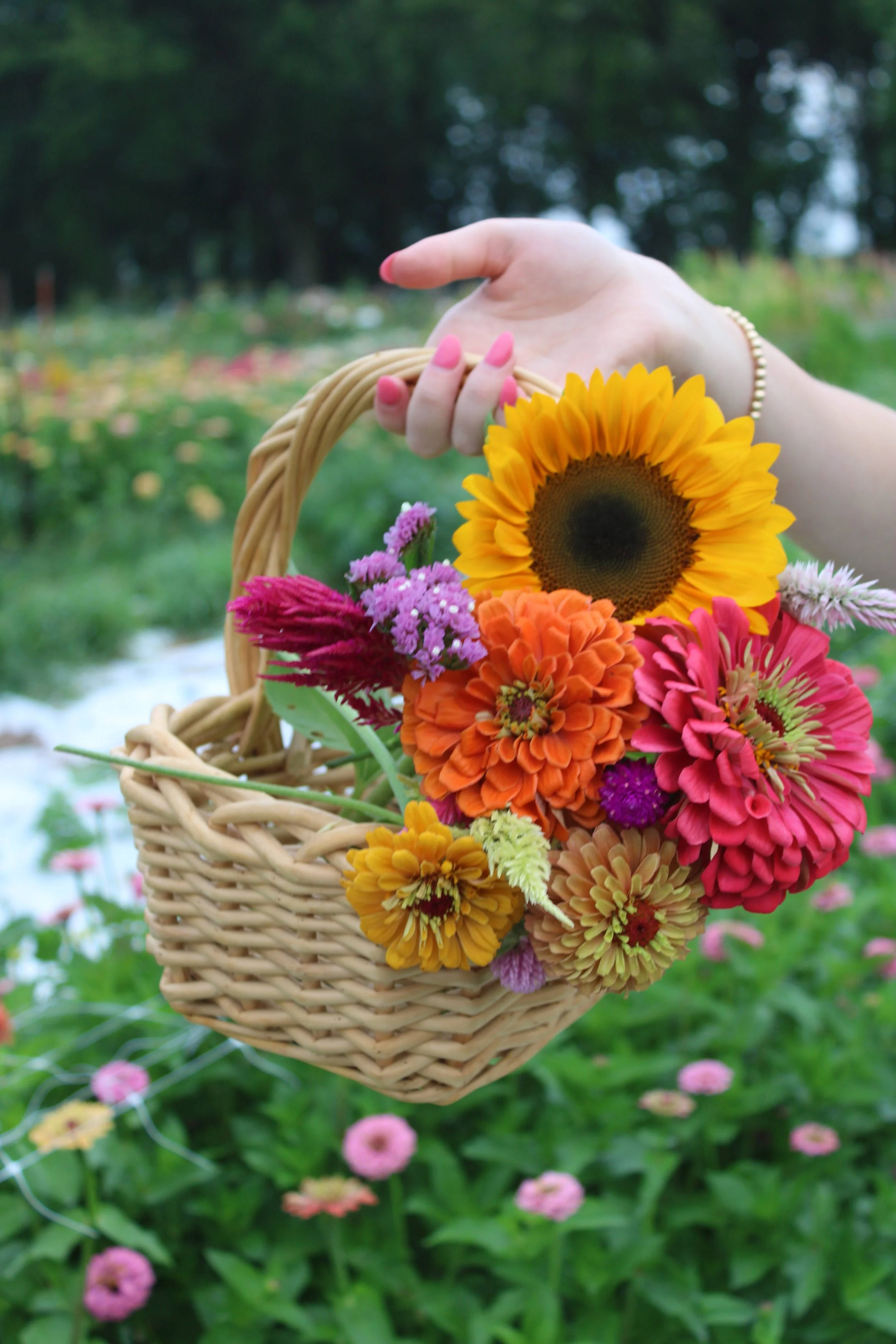 4 Week Fall 2026 Subscription