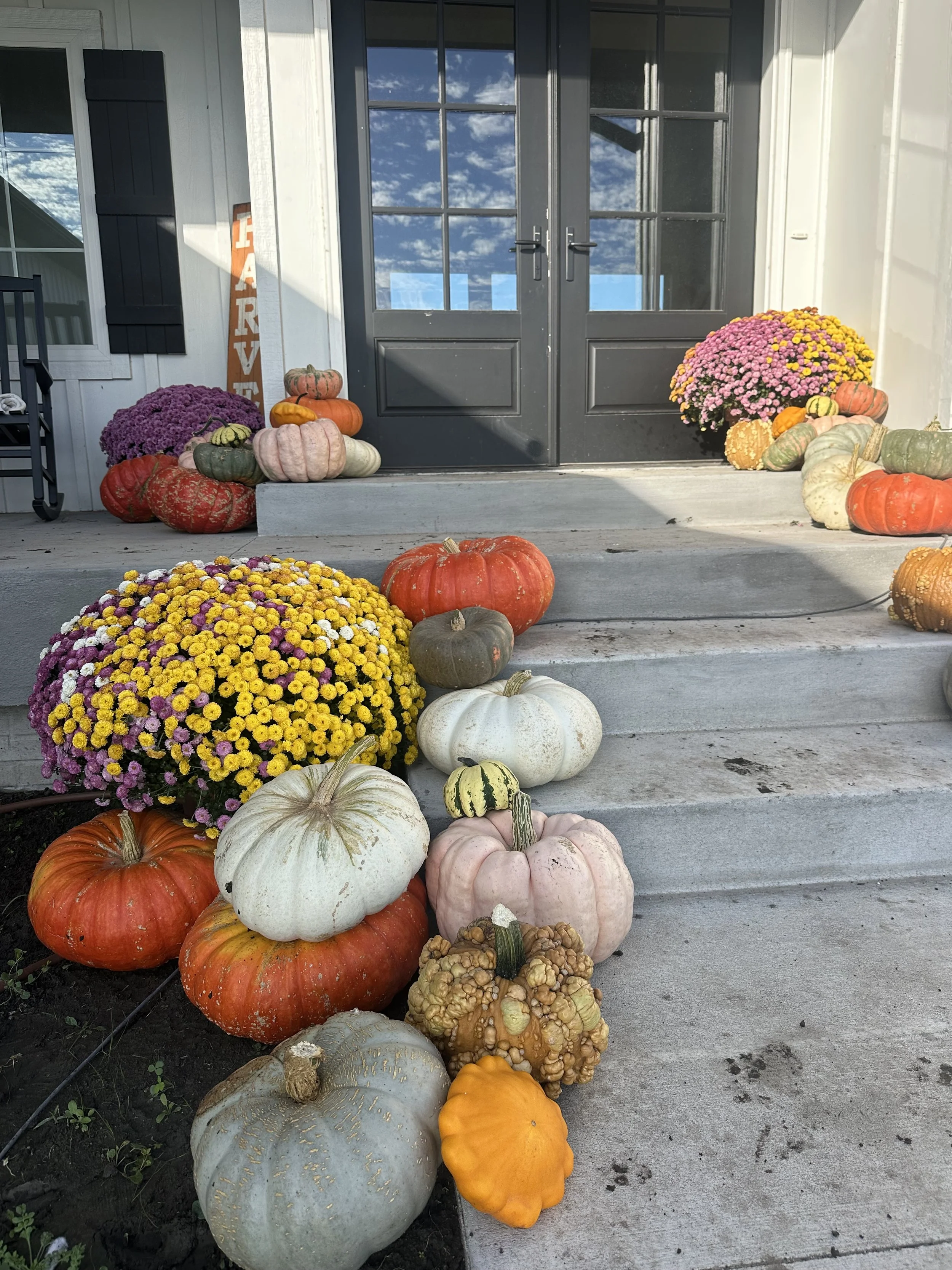 The Great Pumpkin Drop